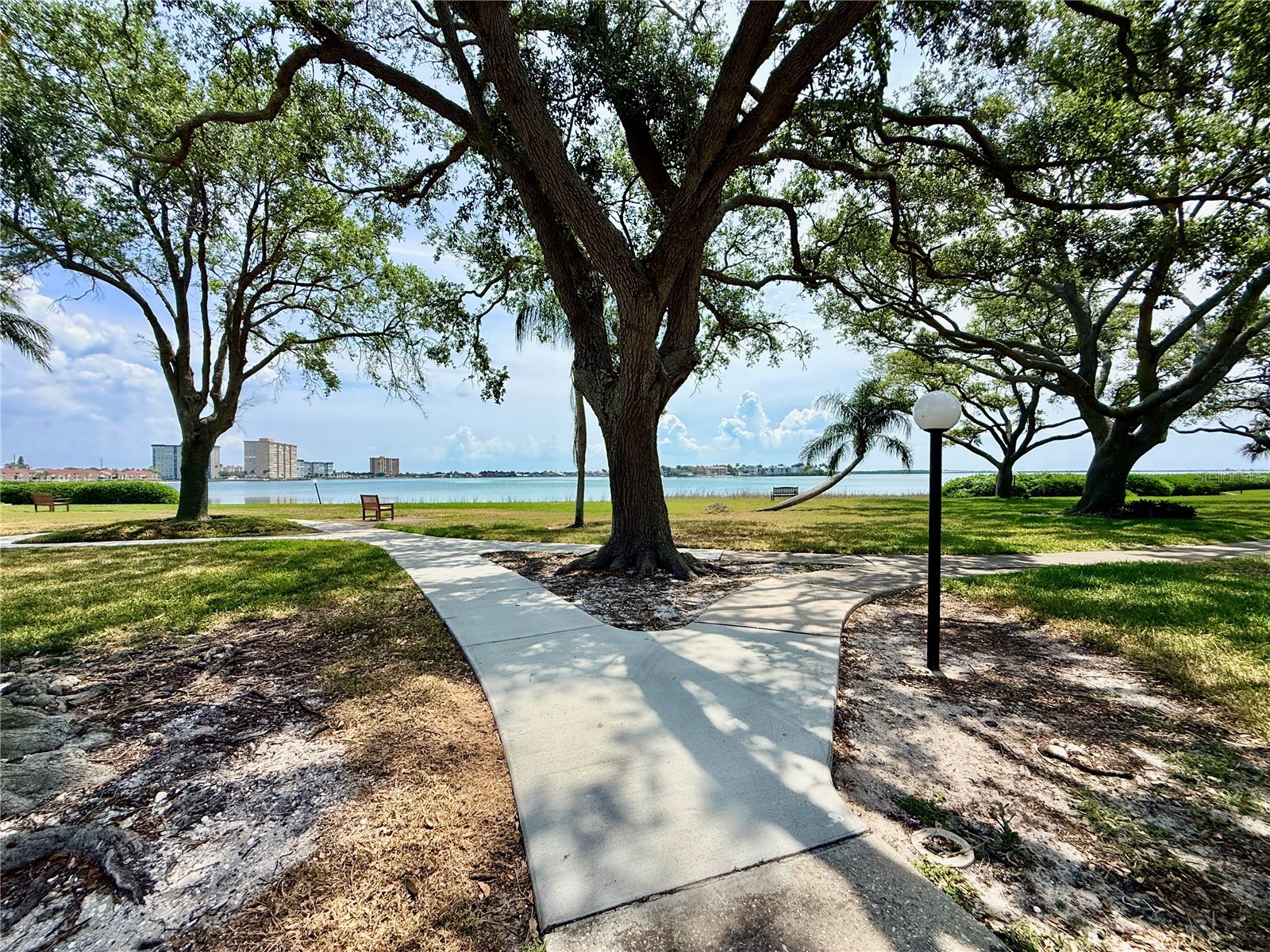 6219 Palma Del Mar Boulevard S #504 Saint Petersburg FL 33715 TB8508532 image59