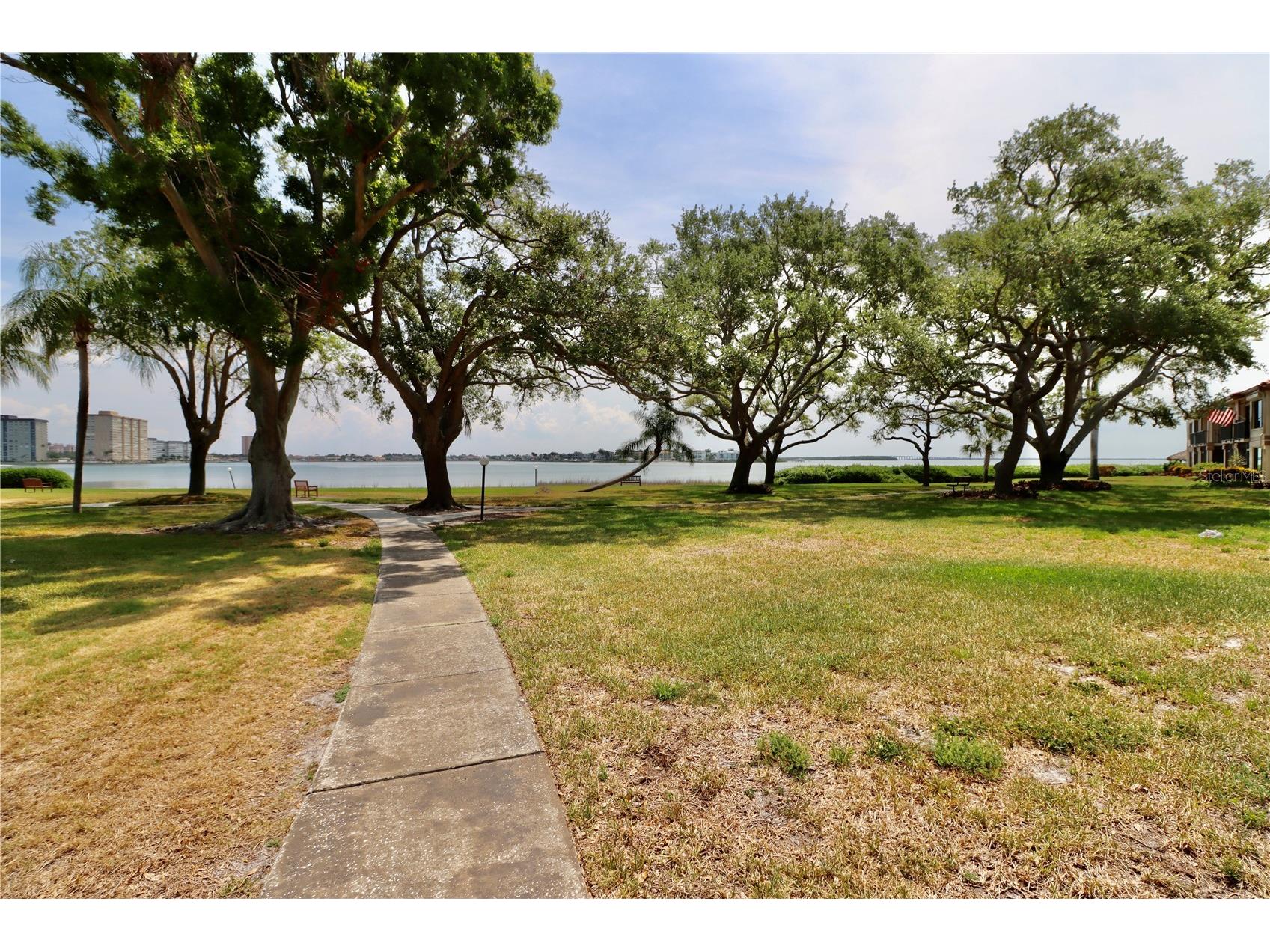 6219 Palma Del Mar Boulevard S #504 Saint Petersburg FL 33715 TB8508532 image62