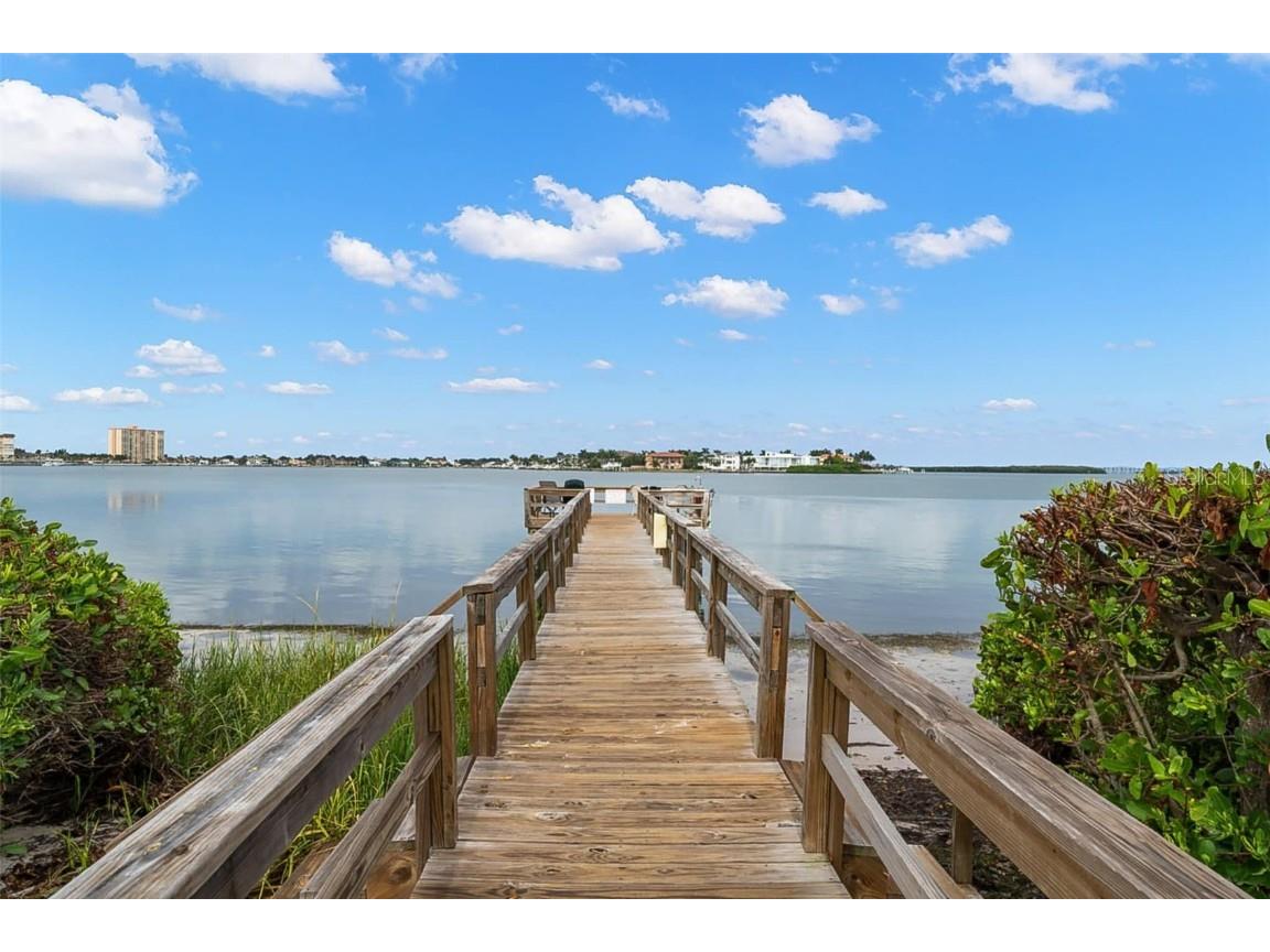 6219 Palma Del Mar Boulevard S #606 Saint Petersburg FL 33715 TB8409396 image37