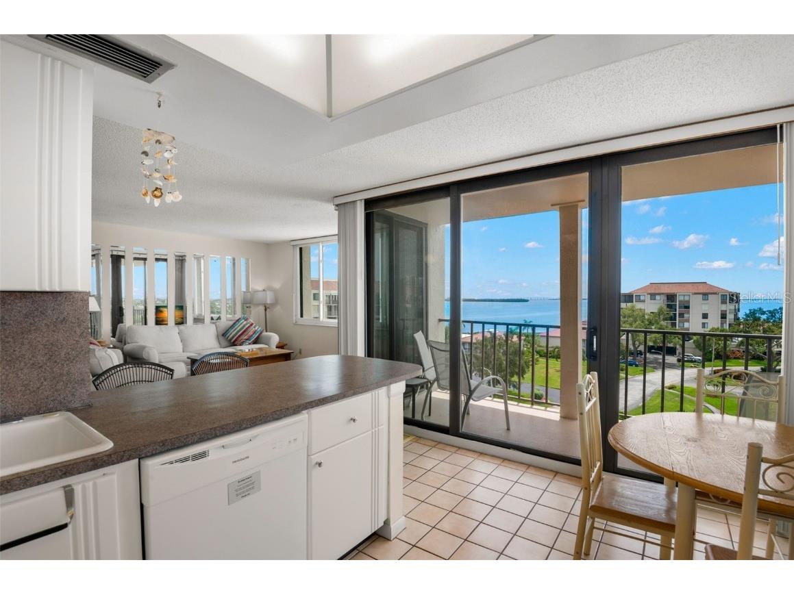 6219 Palma Del Mar Boulevard S #606 Saint Petersburg FL 33715 - TAMPA BAY U8241267 image14