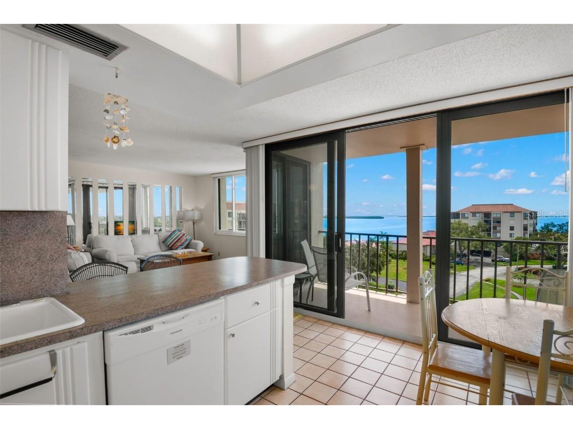 6219 Palma Del Mar Boulevard S #606 Saint Petersburg FL 33715 - TAMPA BAY U8241267 image15