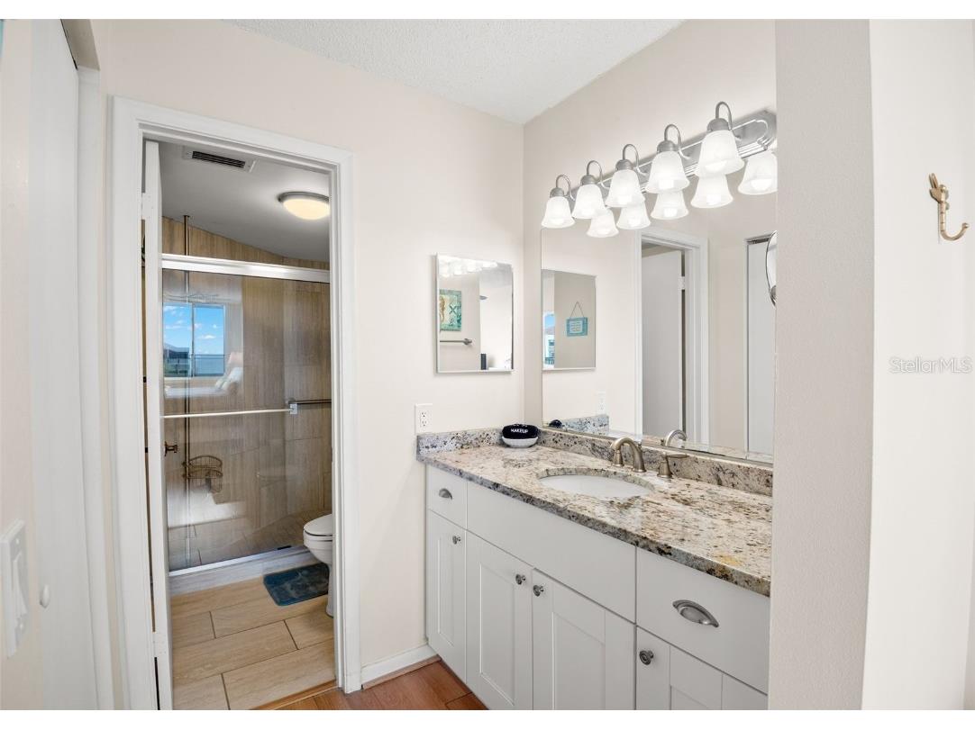 6219 Palma Del Mar Boulevard S #606 Saint Petersburg FL 33715 - TAMPA BAY U8241267 image22