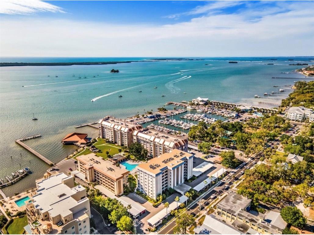 622 Edgewater Drive #525 Dunedin FL 34698 W7853320 image1