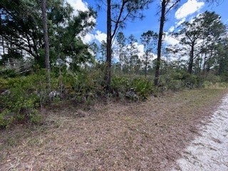 622 Laguna Drive Indian Lake Estates FL 33855 TB8499177 image1