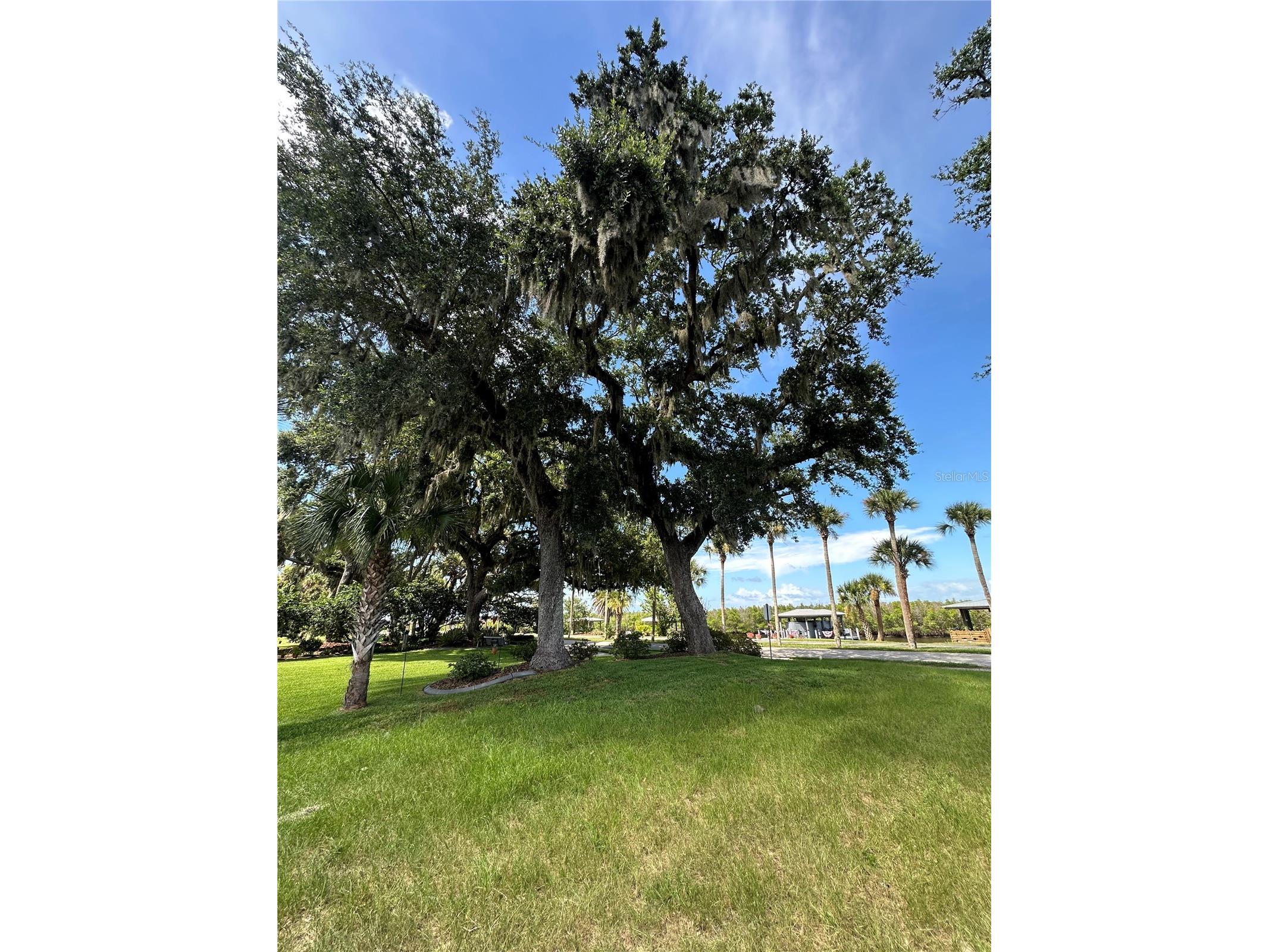 622 N Riverside Drive New Smyrna Beach FL 32168 O6420440 image6
