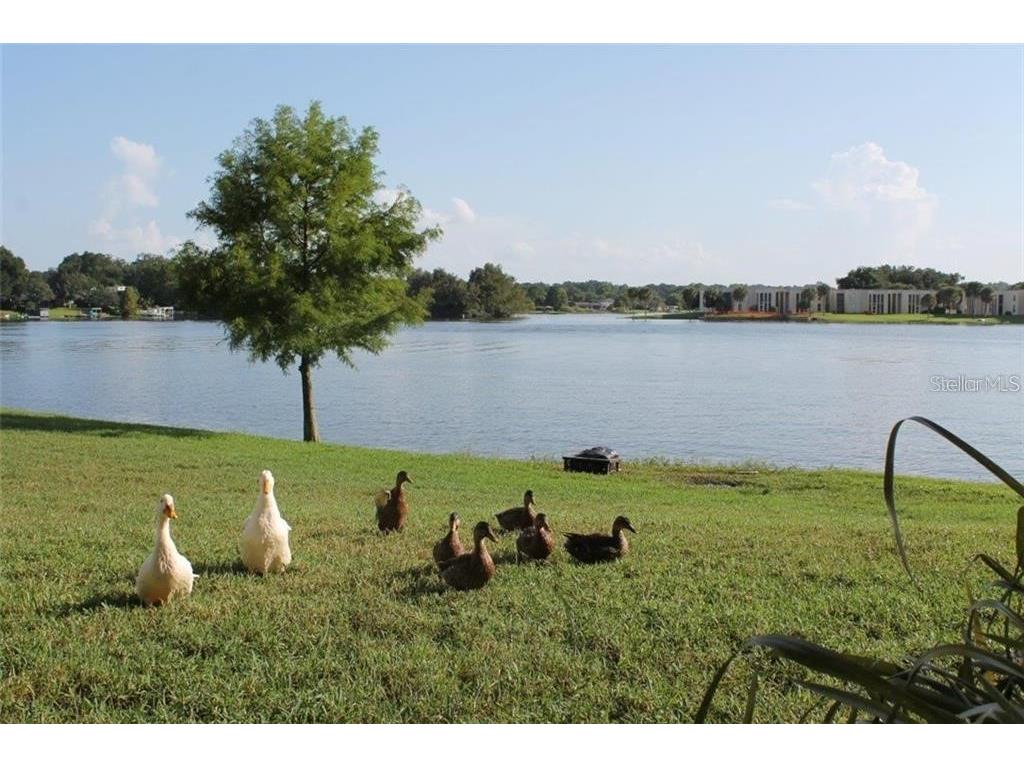 622 Orange Drive #232 Altamonte Springs FL 32701 - LAKE ORIENTA O6414881 image31