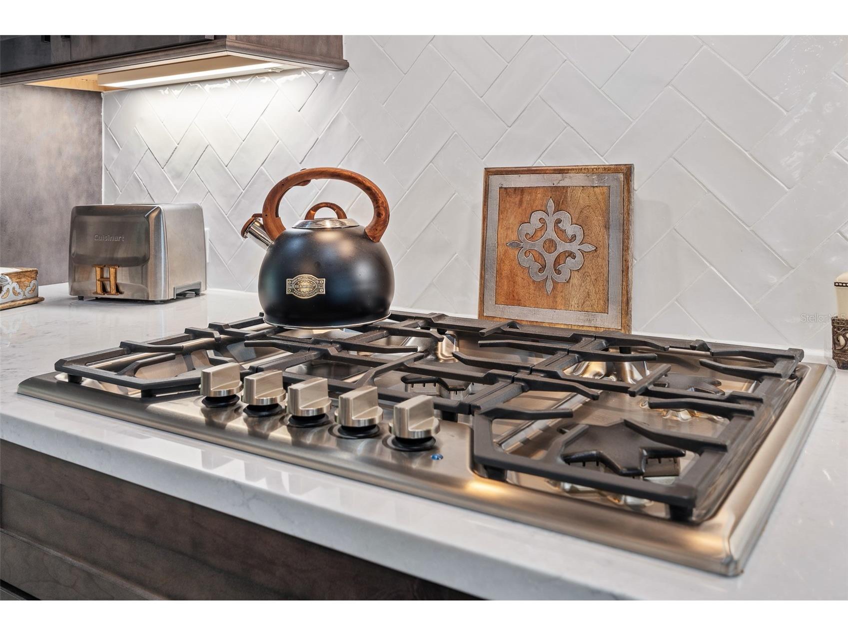 622 W 11th Avenue Mount Dora FL 32757 FC315993 image26