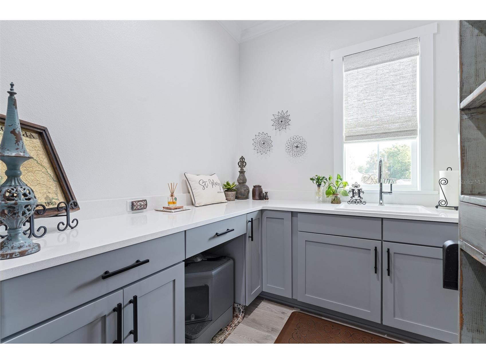 622 W 11th Avenue Mount Dora FL 32757 FC315993 image28