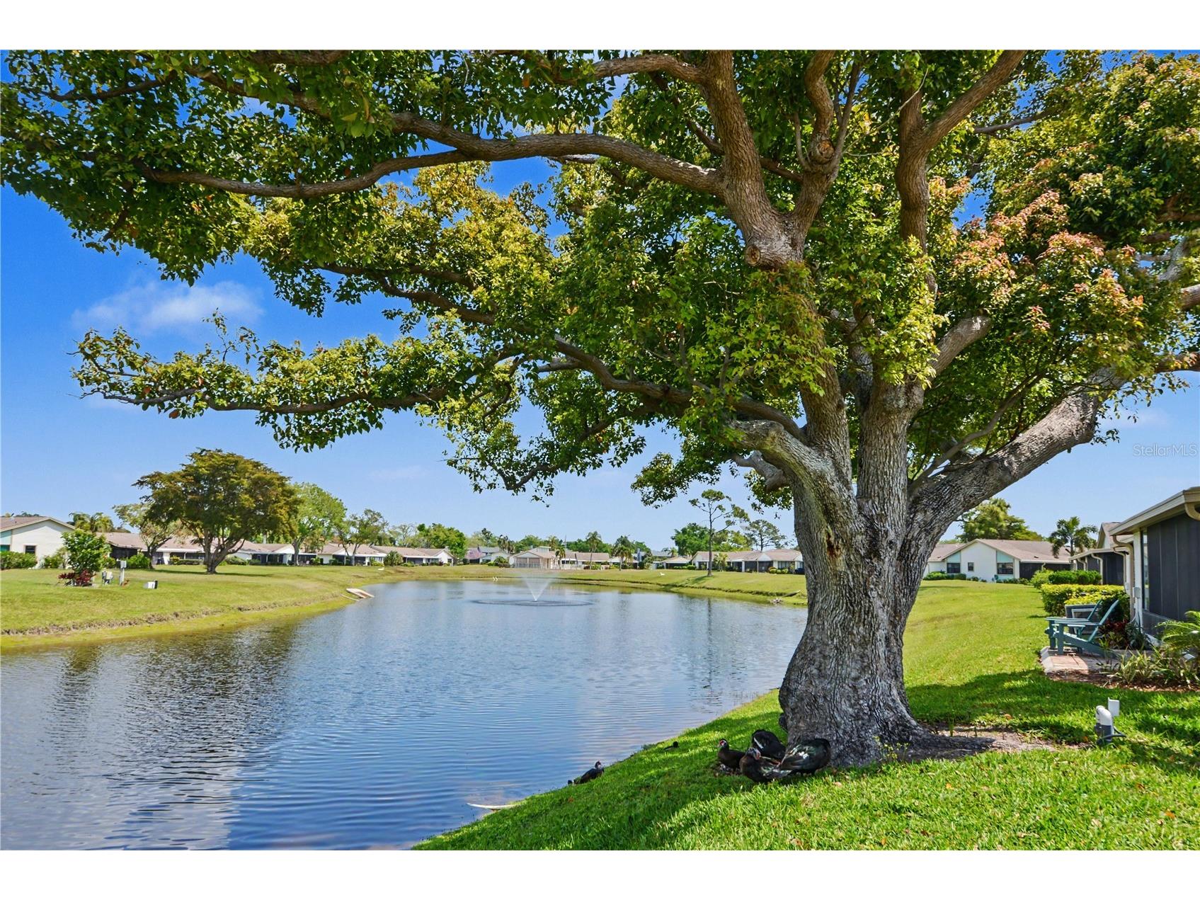 6220 29th Avenue W #6220 Bradenton FL 34209 A4687999 image30