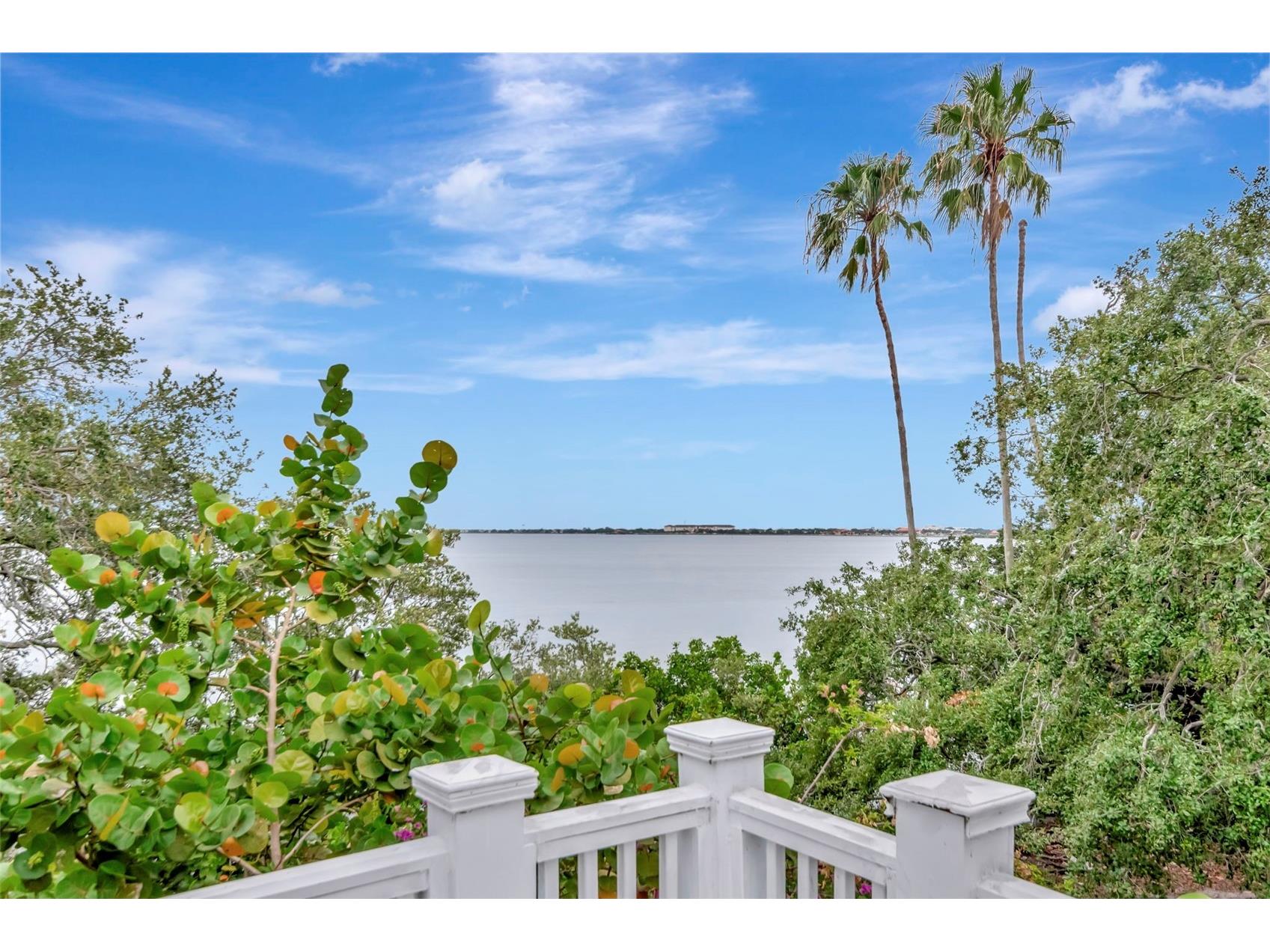 6220 Bayshore Boulevard Tampa FL 33611 TB8506772 image39