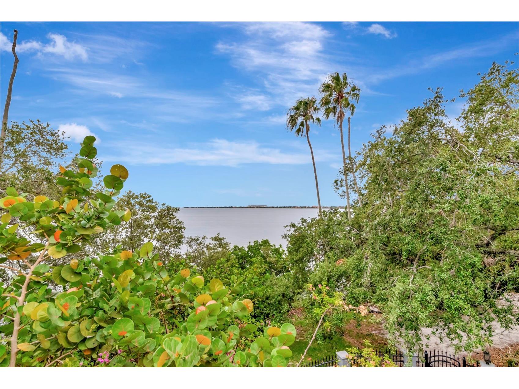 6220 Bayshore Boulevard Tampa FL 33611 TB8506772 image52