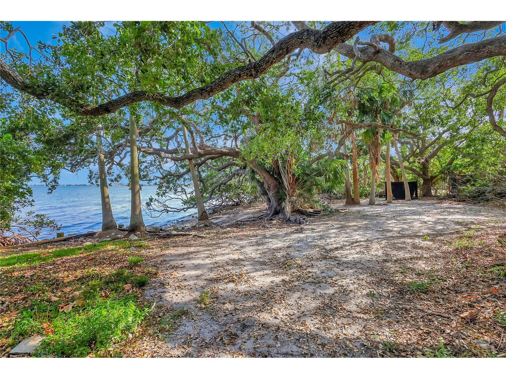 6220 Bayshore Boulevard Tampa FL 33611 TB8506772 image53