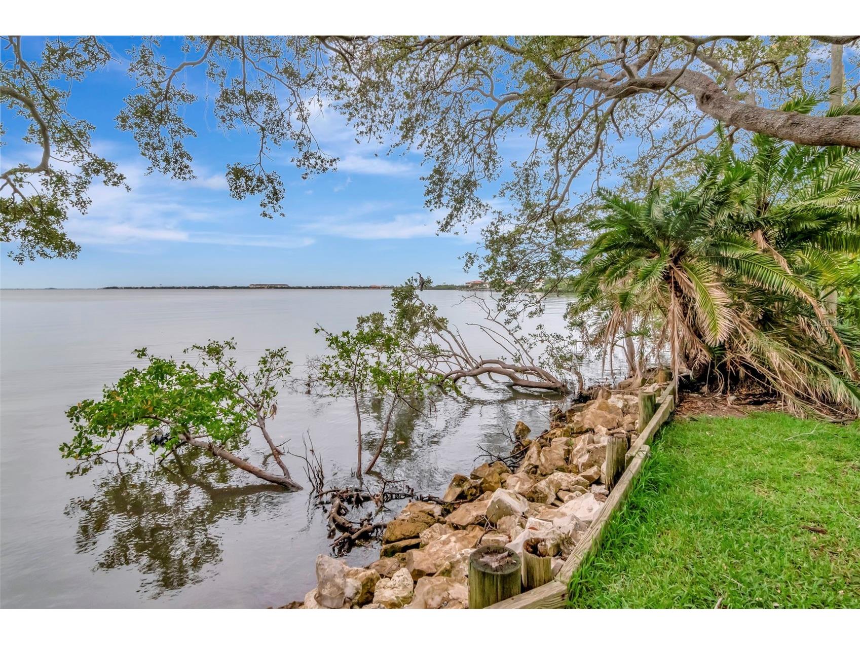 6220 Bayshore Boulevard Tampa FL 33611 TB8506772 image56