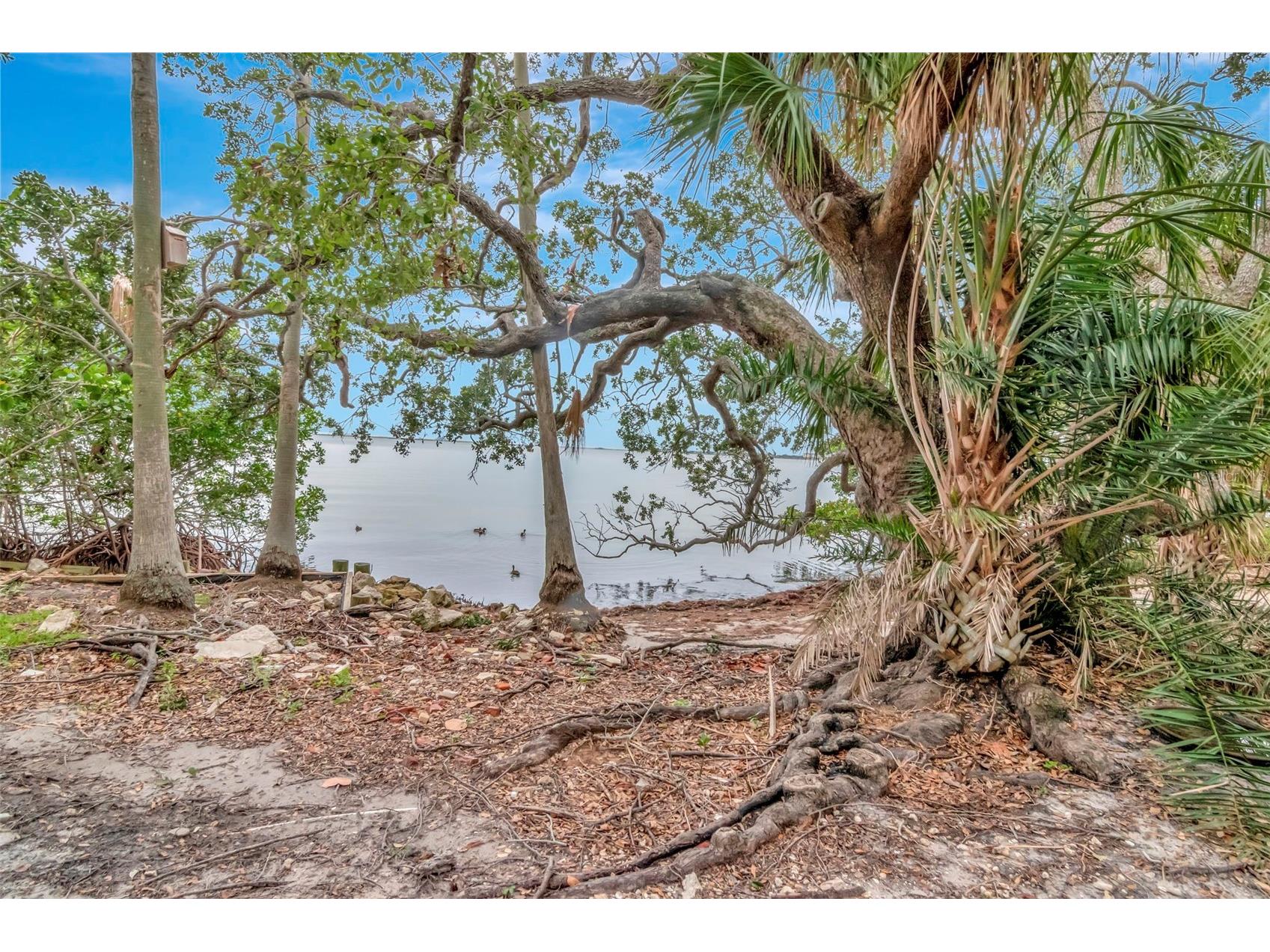 6220 Bayshore Boulevard Tampa FL 33611 TB8506772 image57