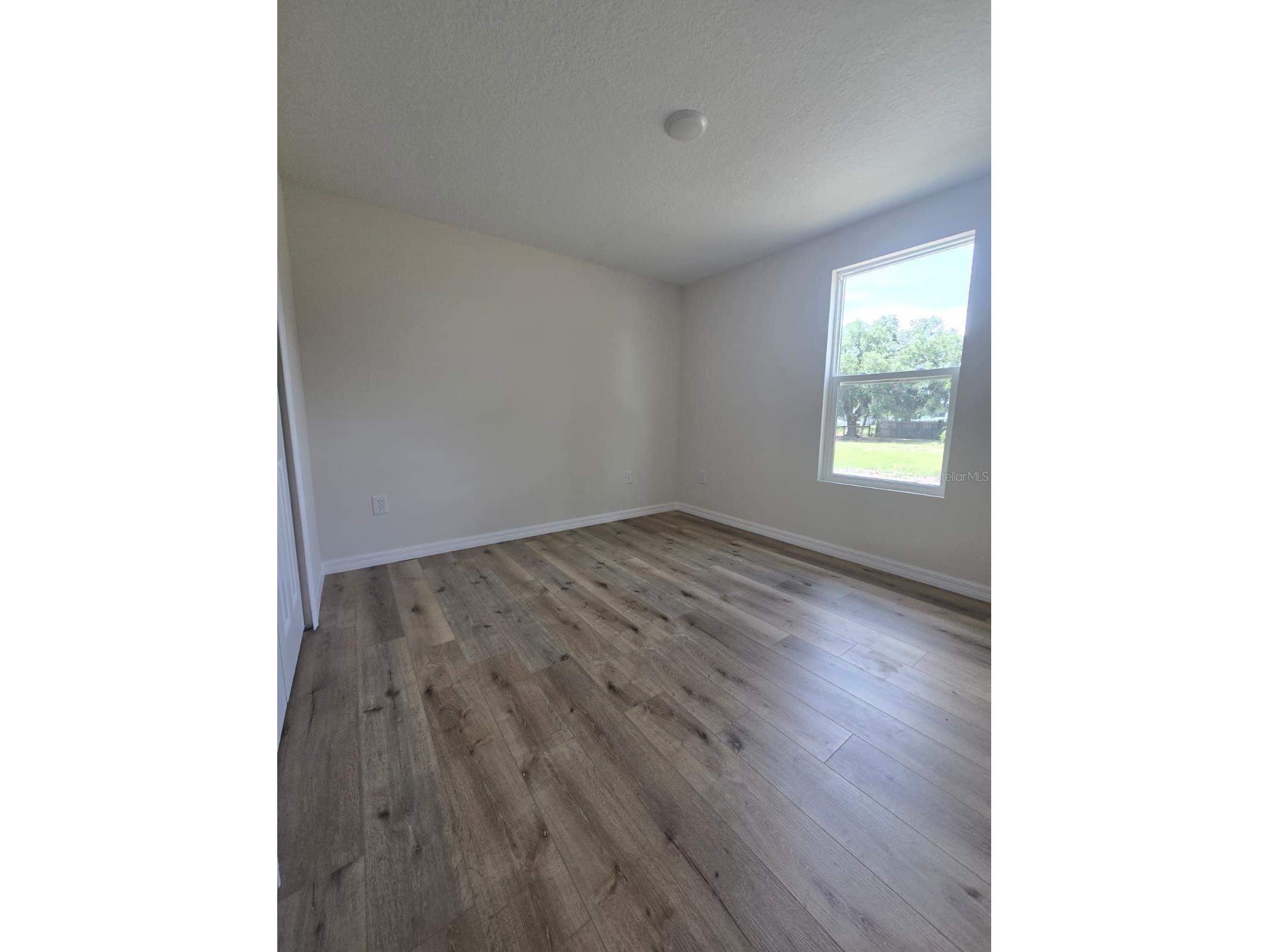 6220 Pinewood Drive Fort Meade FL 33841 P4938892 image19