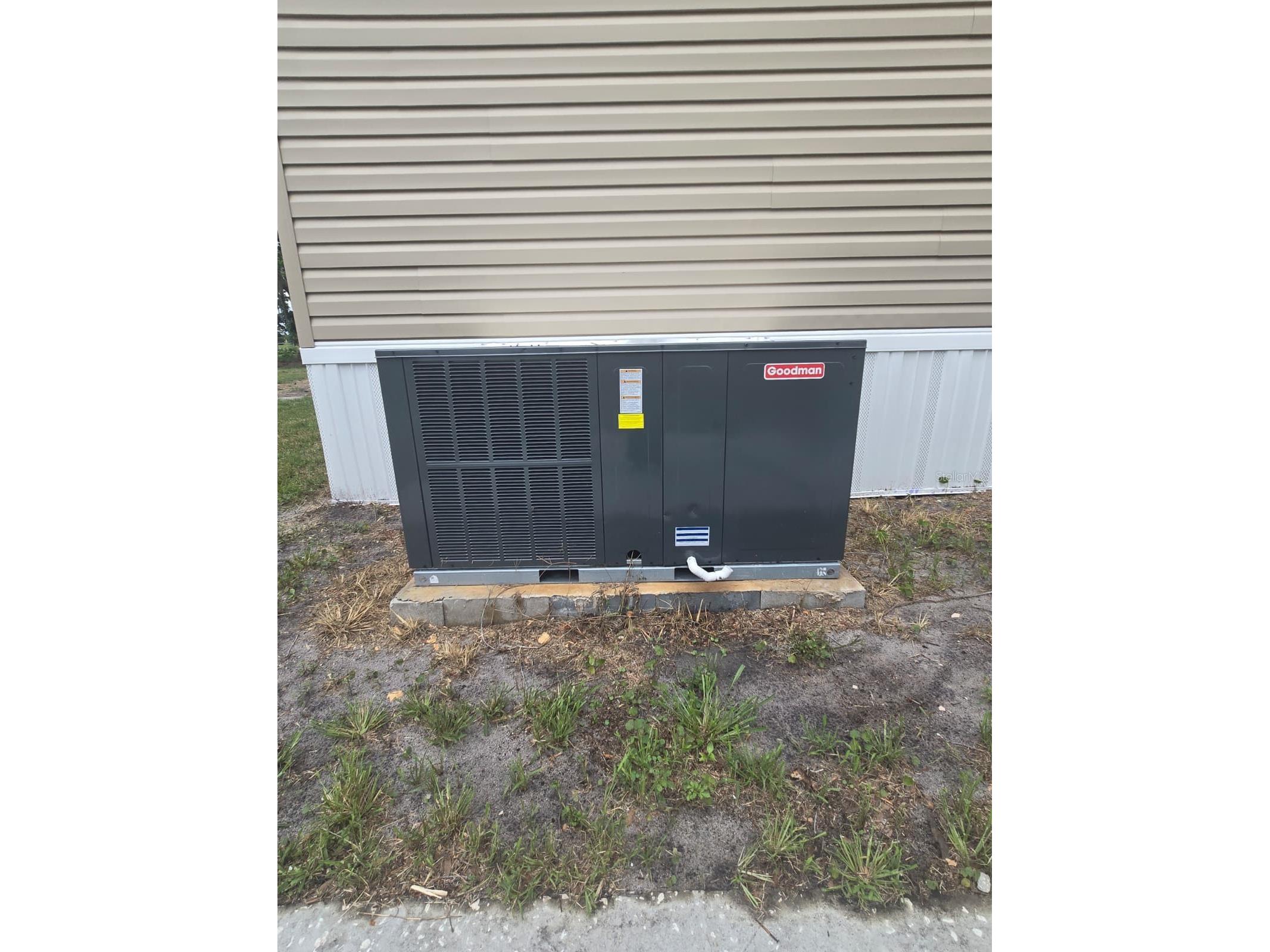 6220 Pinewood Drive Fort Meade FL 33841 P4938892 image24
