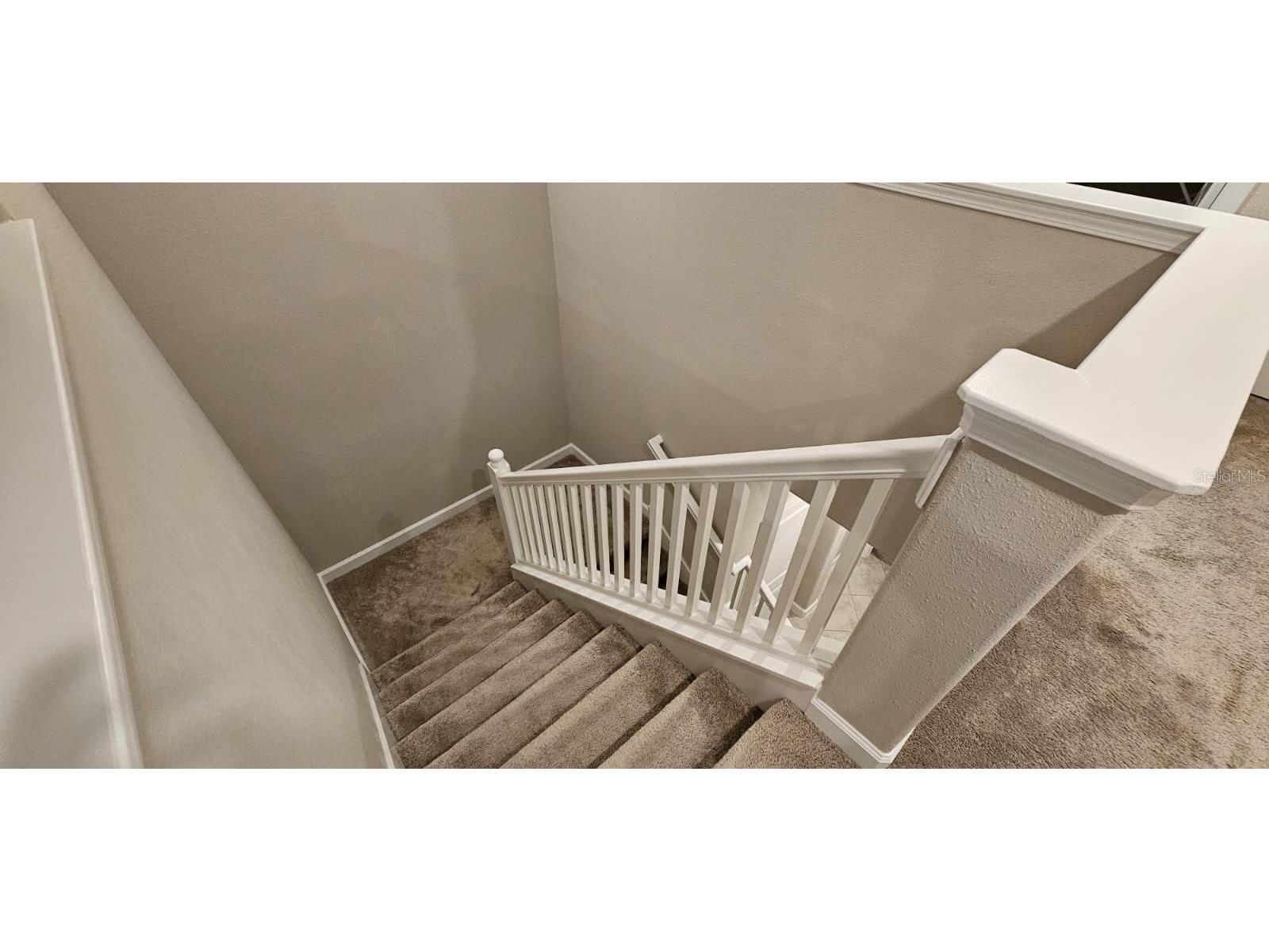 6220 Windship Court Tampa FL 33647 TB8488938 image21