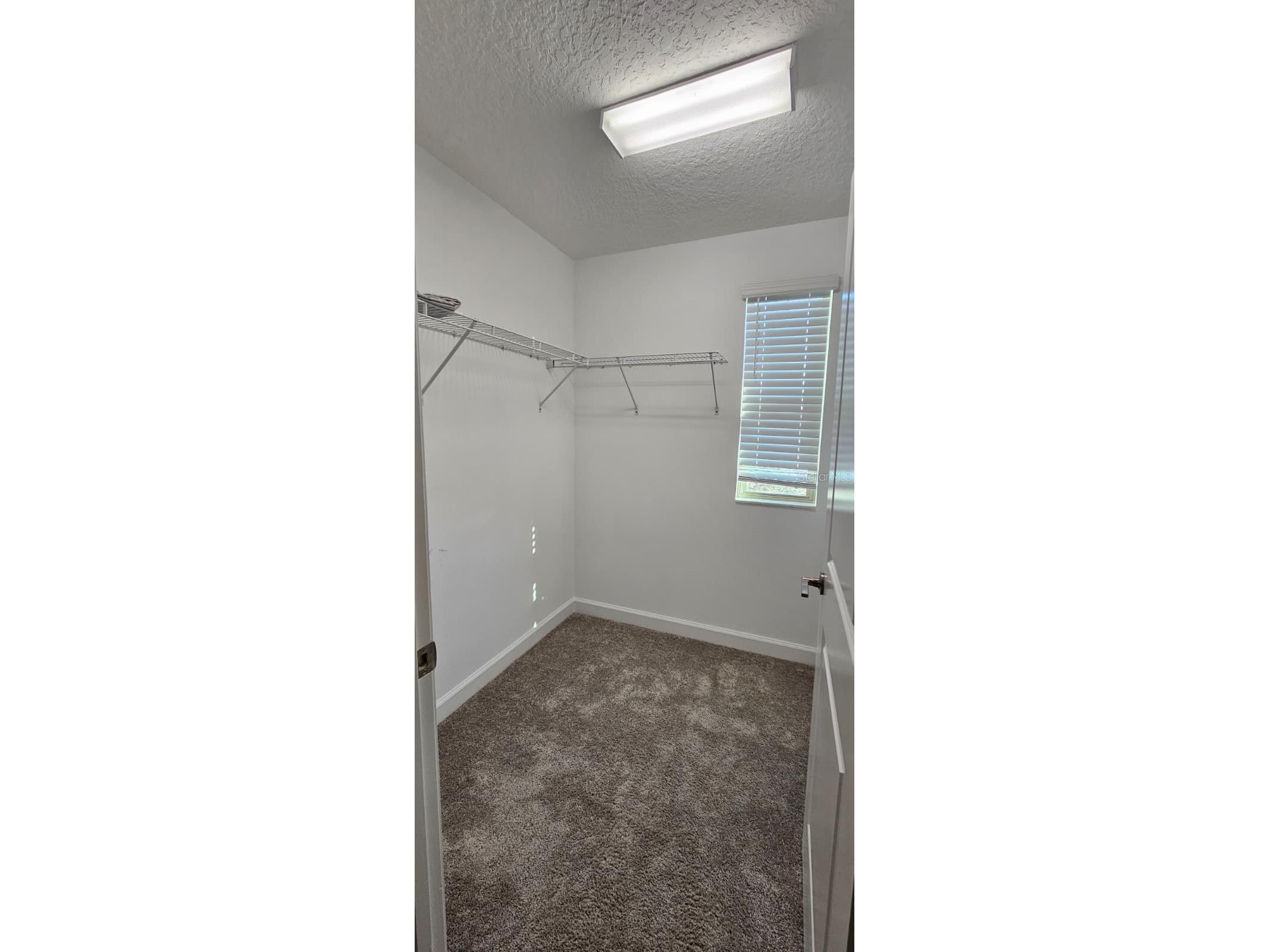 6220 Windship Court Tampa FL 33647 TB8488938 image31