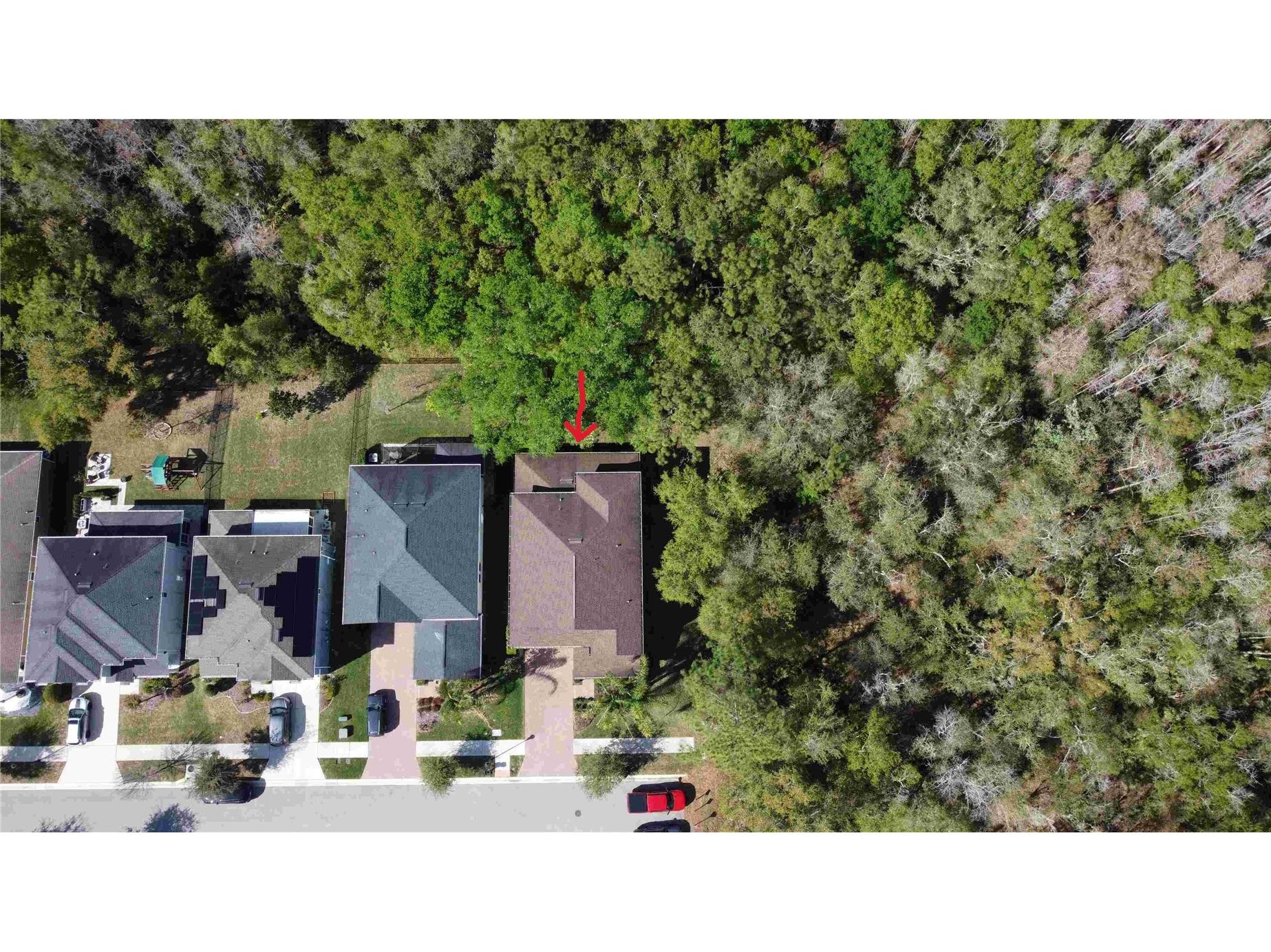 6220 Windship Court Tampa FL 33647 TB8488938 image32