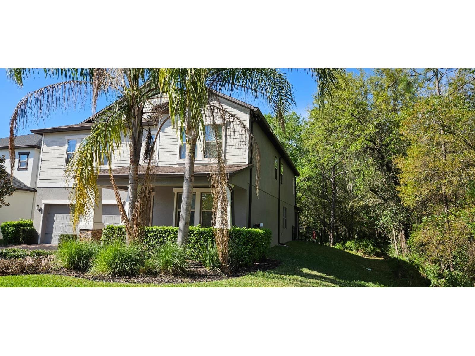 6220 Windship Court Tampa FL 33647 TB8488938 image4