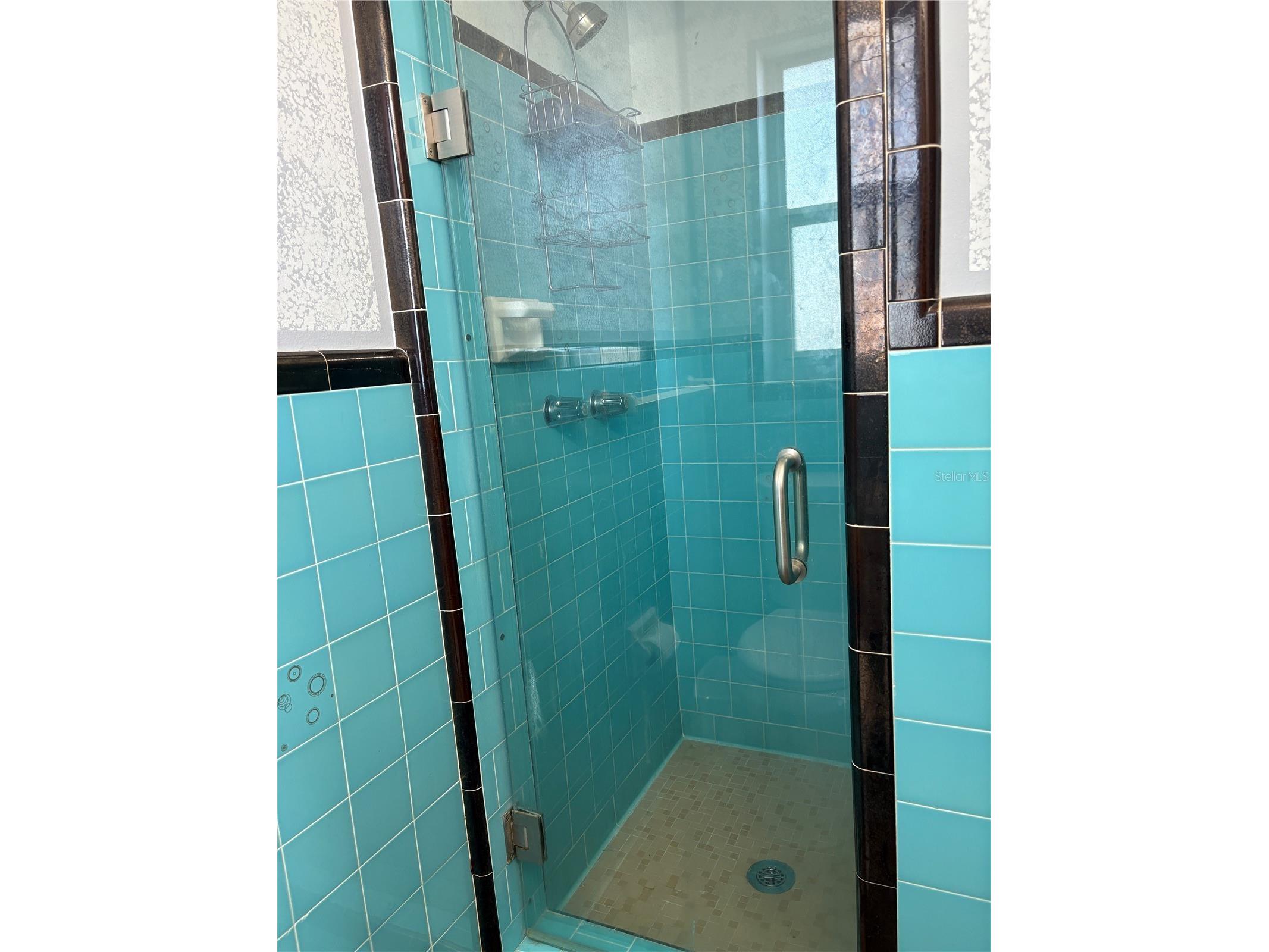 6221 13th Avenue N Saint Petersburg FL 33710 TB8369154 image15