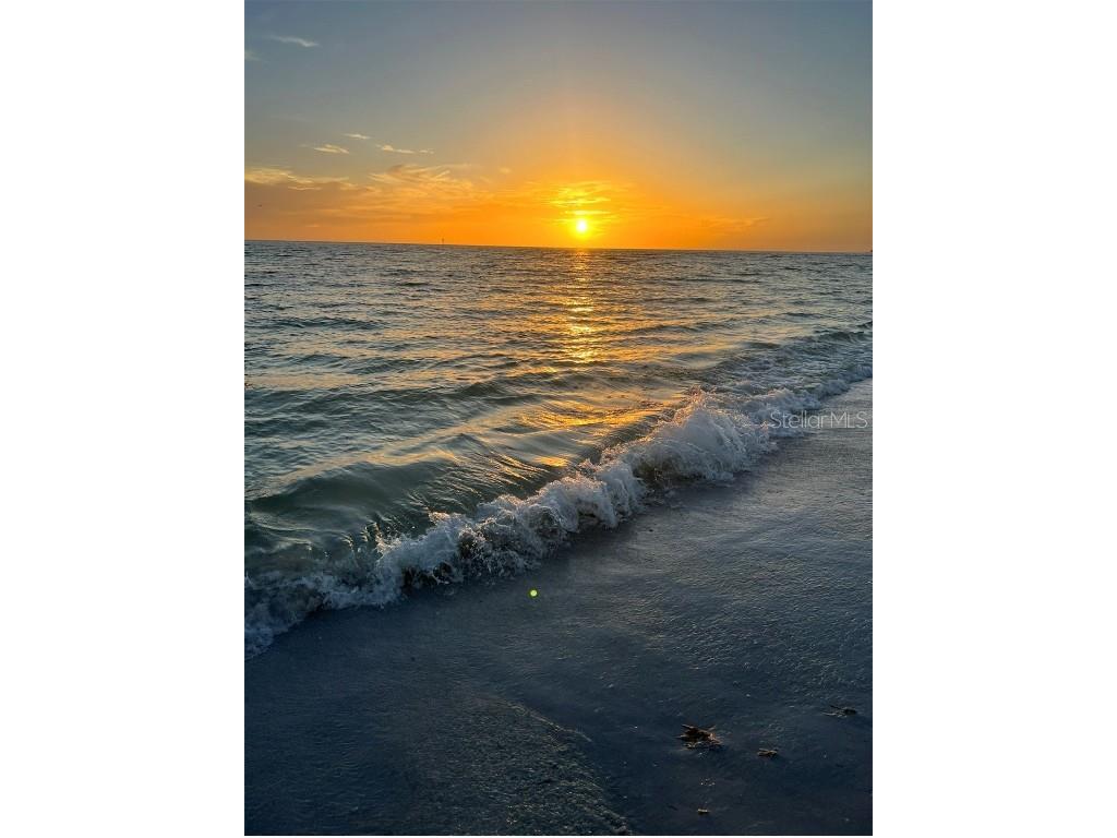 6221 6th Avenue N Saint Petersburg FL 33710 TB8445639 image25