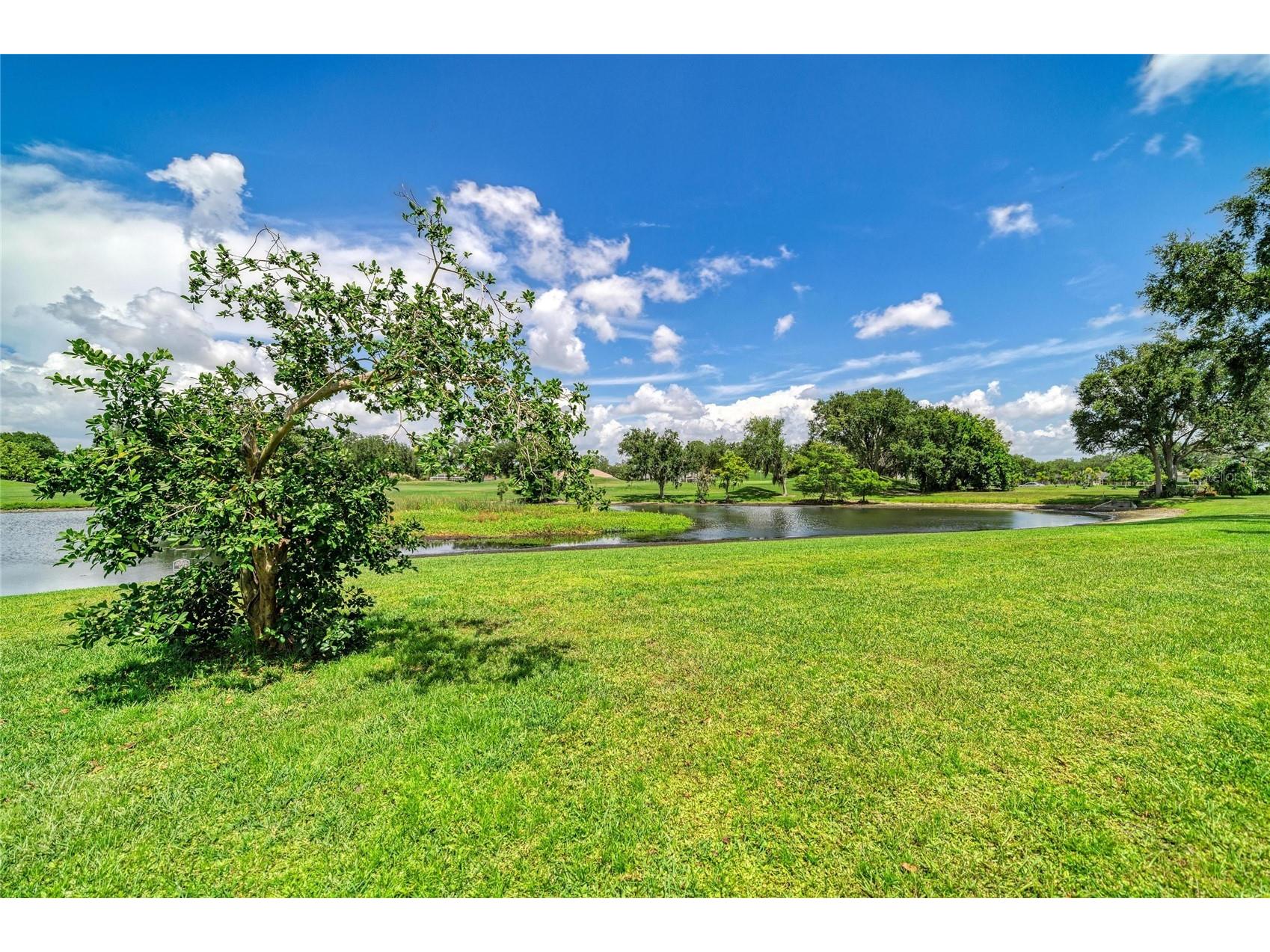 6221 99th Street E Bradenton FL 34202 A4697474 image59