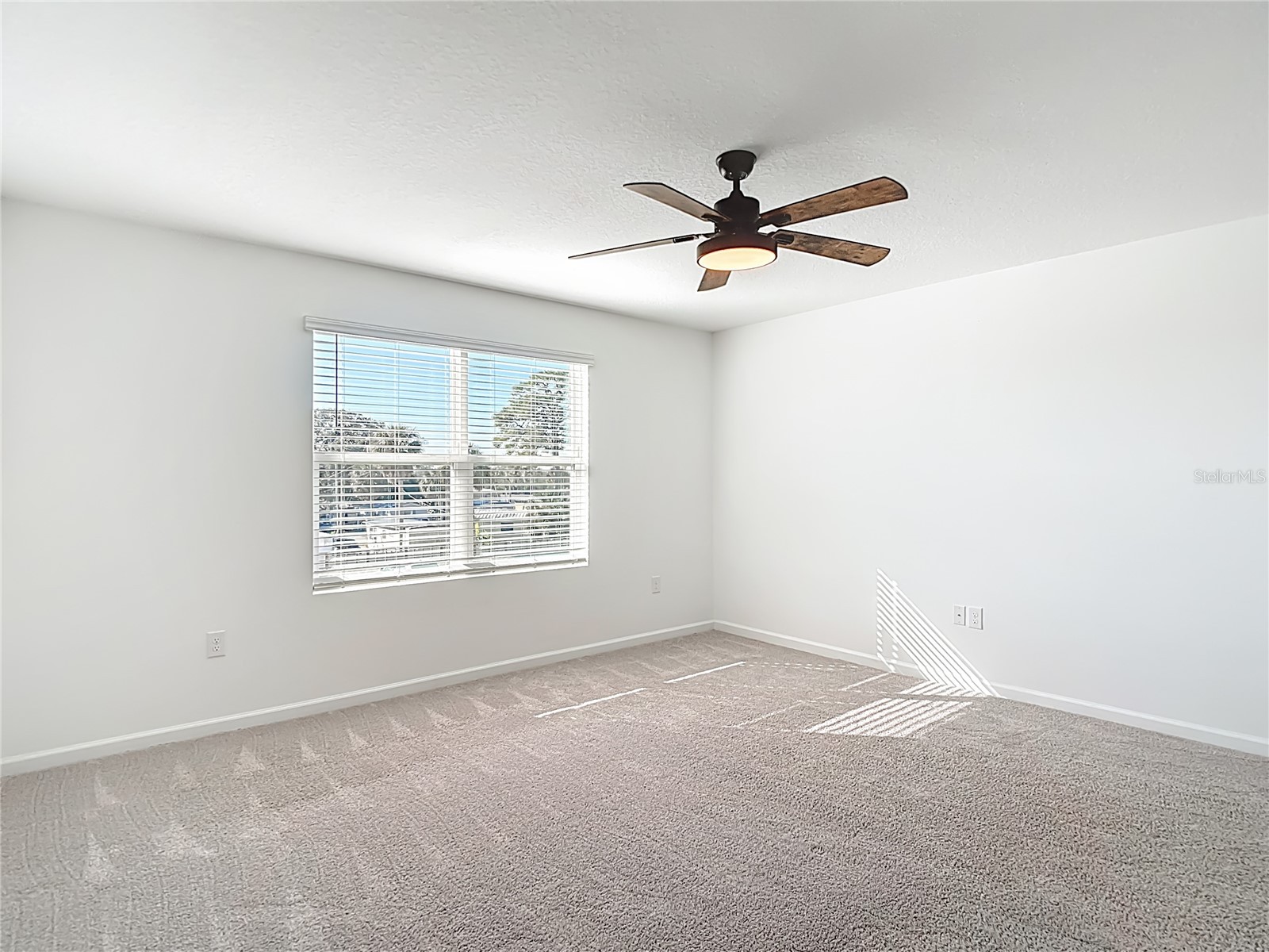 6221 Bucket Court Gibsonton FL 33534 TB8466219 image33