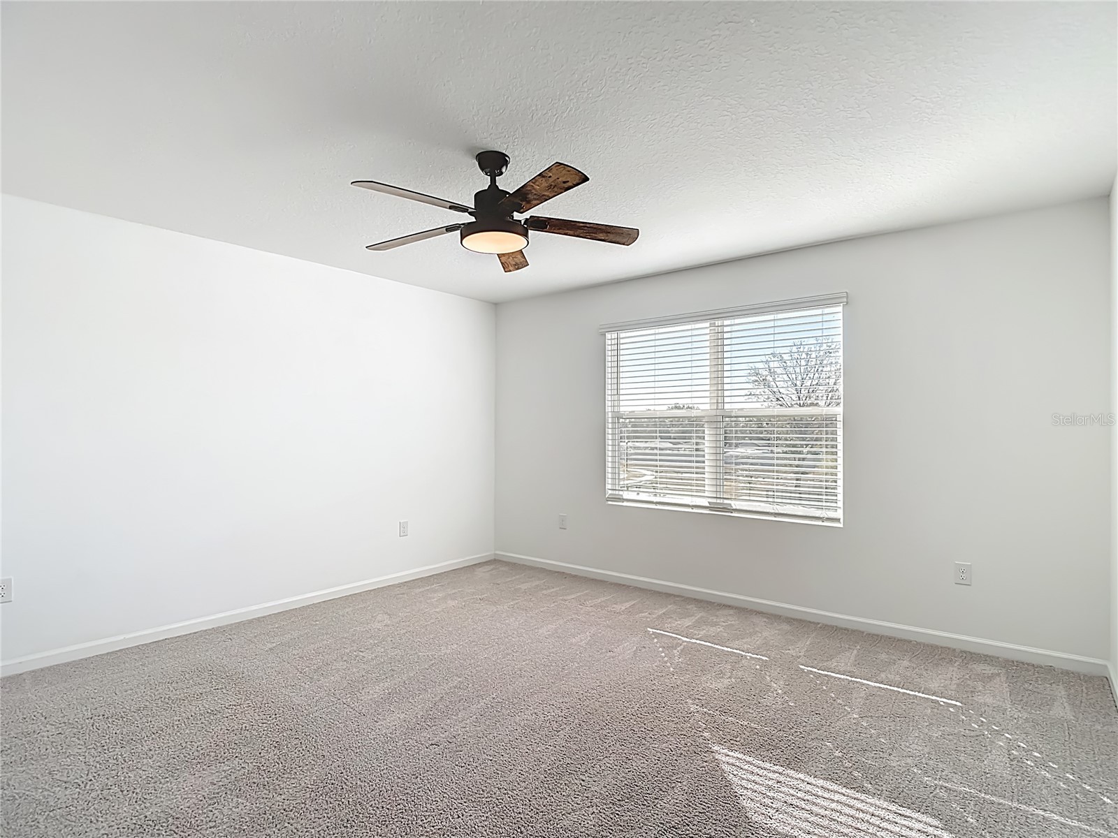 6221 Bucket Court Gibsonton FL 33534 TB8466219 image34