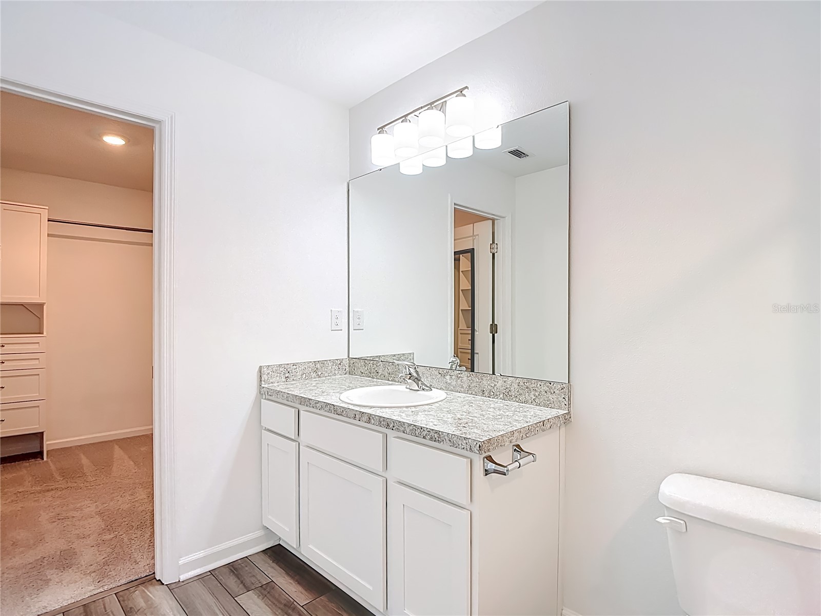 6221 Bucket Court Gibsonton FL 33534 TB8466219 image37