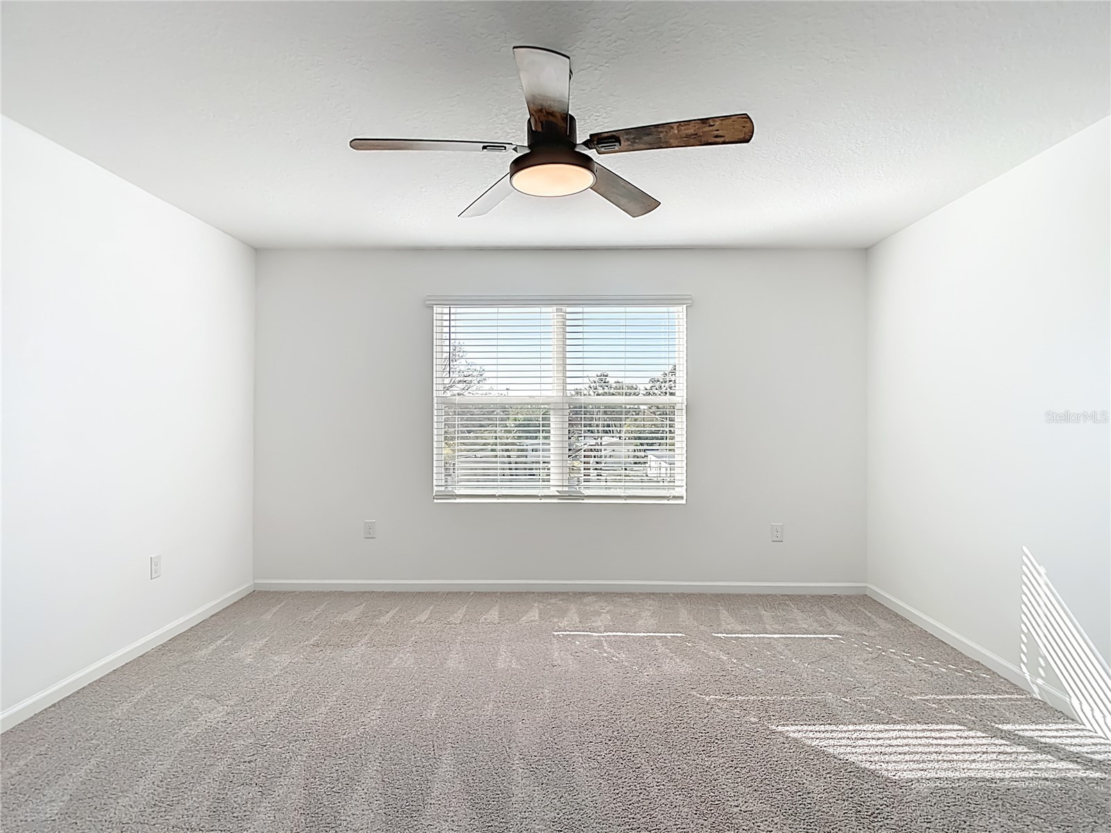 6221 Bucket Court Gibsonton FL 33534 TB8466219 image6