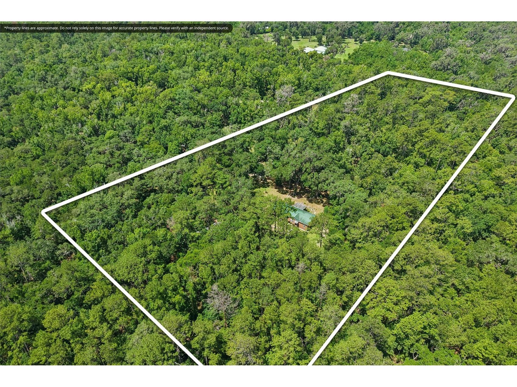 6221 Emerson Road Brooksville FL 34601 TB8520992 image17