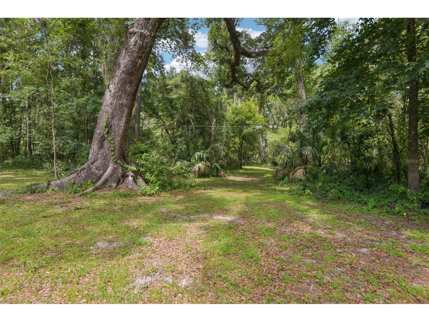 6221 Emerson Road Brooksville FL 34601 TB8520992 image19