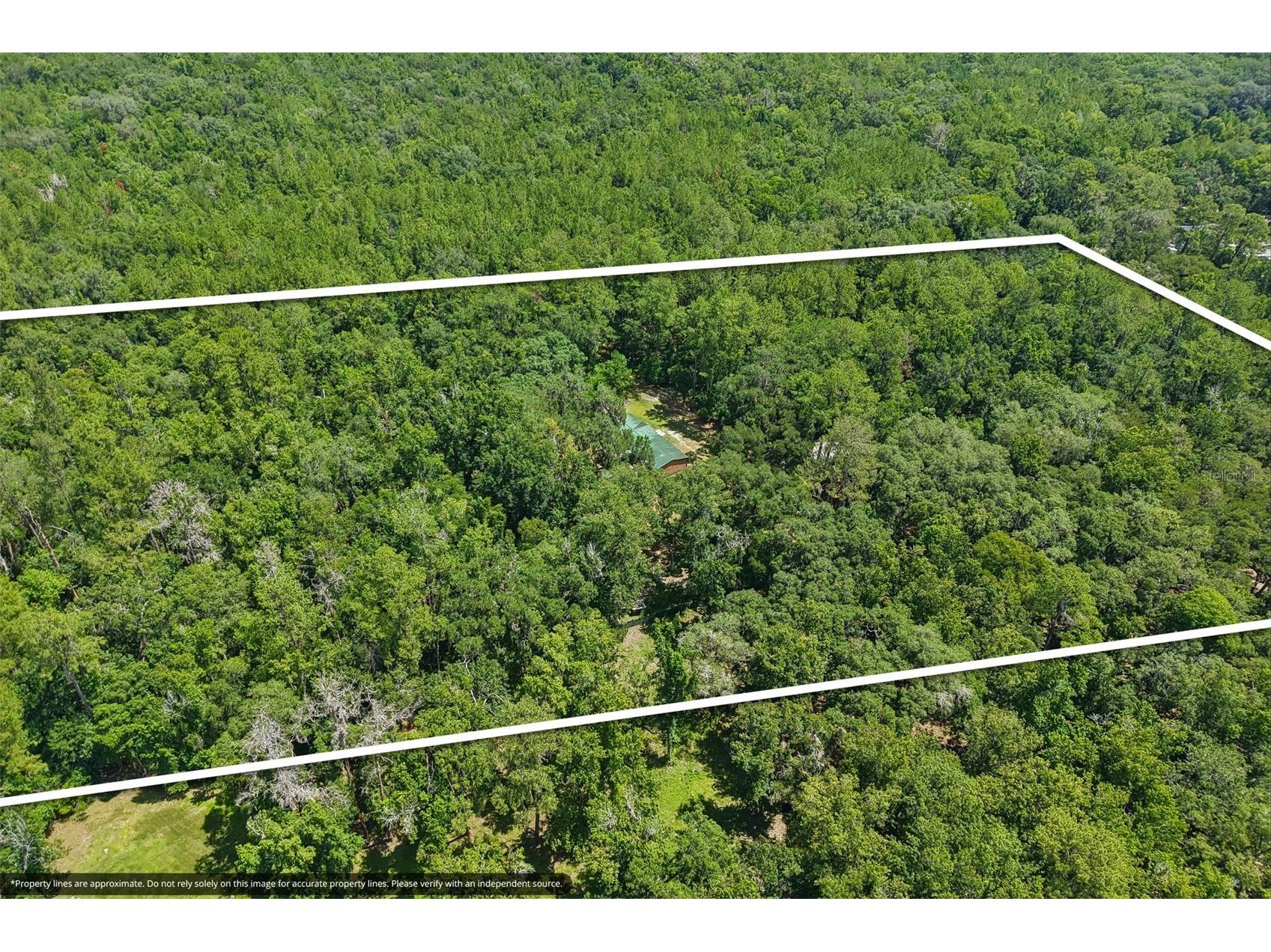 6221 Emerson Road Brooksville FL 34601 TB8520992 image32