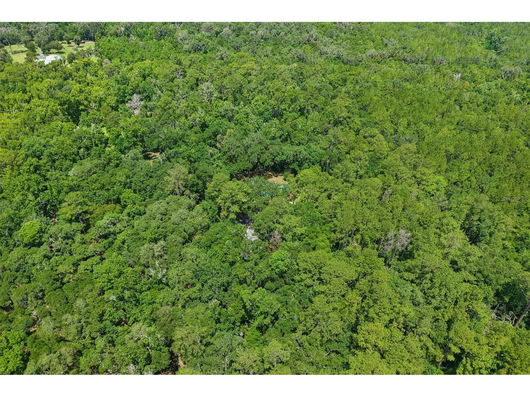 6221 Emerson Road Brooksville FL 34601 TB8520992 image33