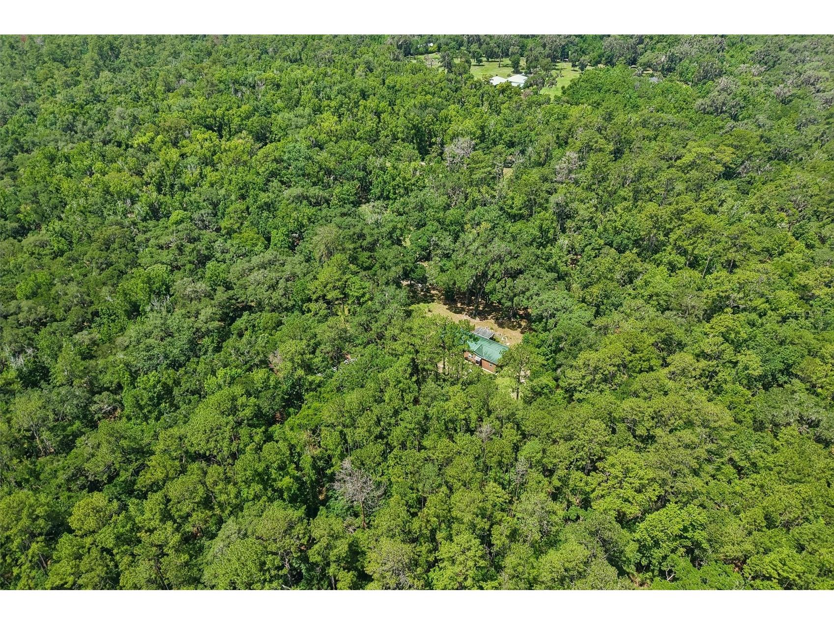 6221 Emerson Road Brooksville FL 34601 TB8520992 image34