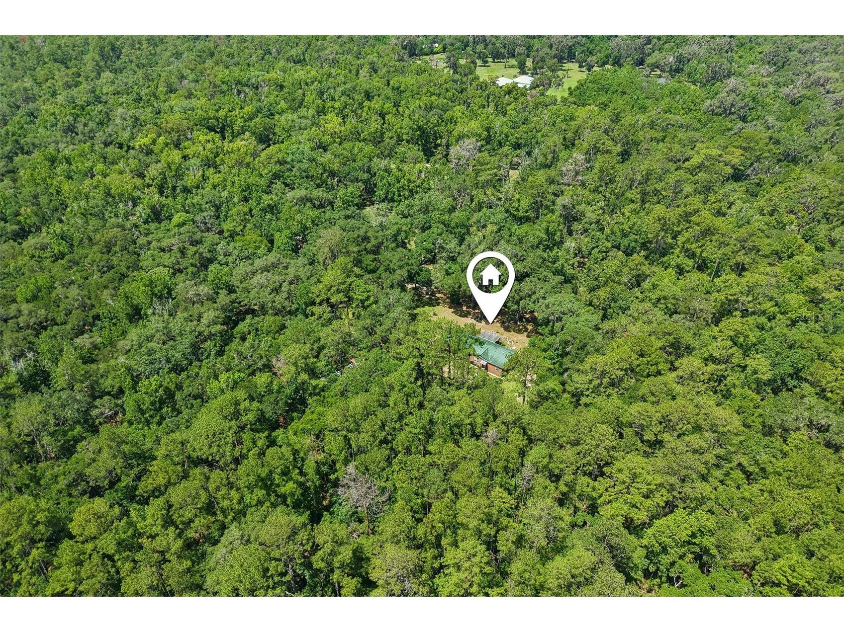 6221 Emerson Road Brooksville FL 34601 TB8520992 image35