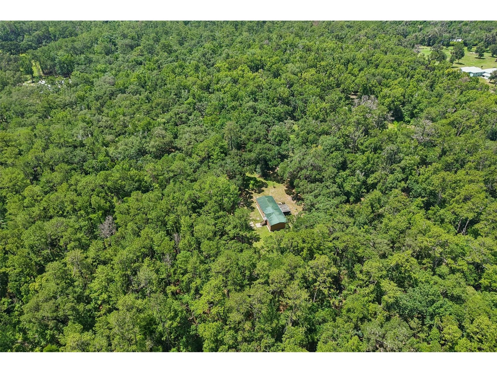 6221 Emerson Road Brooksville FL 34601 TB8520992 image36