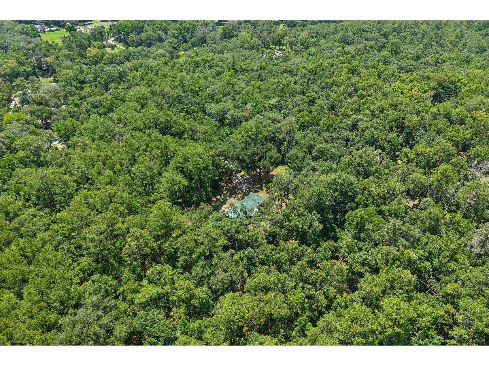 6221 Emerson Road Brooksville FL 34601 TB8520992 image37