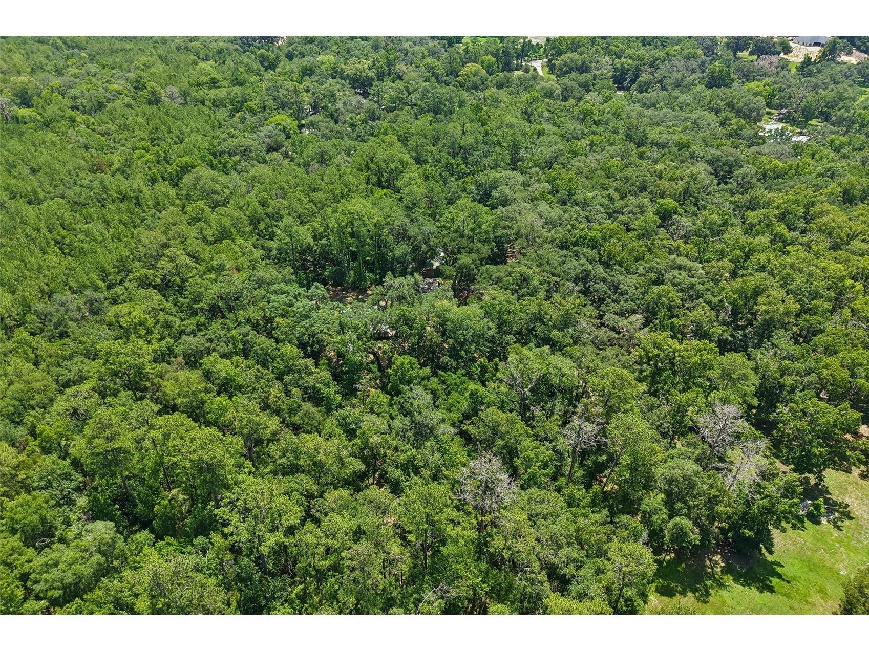 6221 Emerson Road Brooksville FL 34601 TB8520992 image38