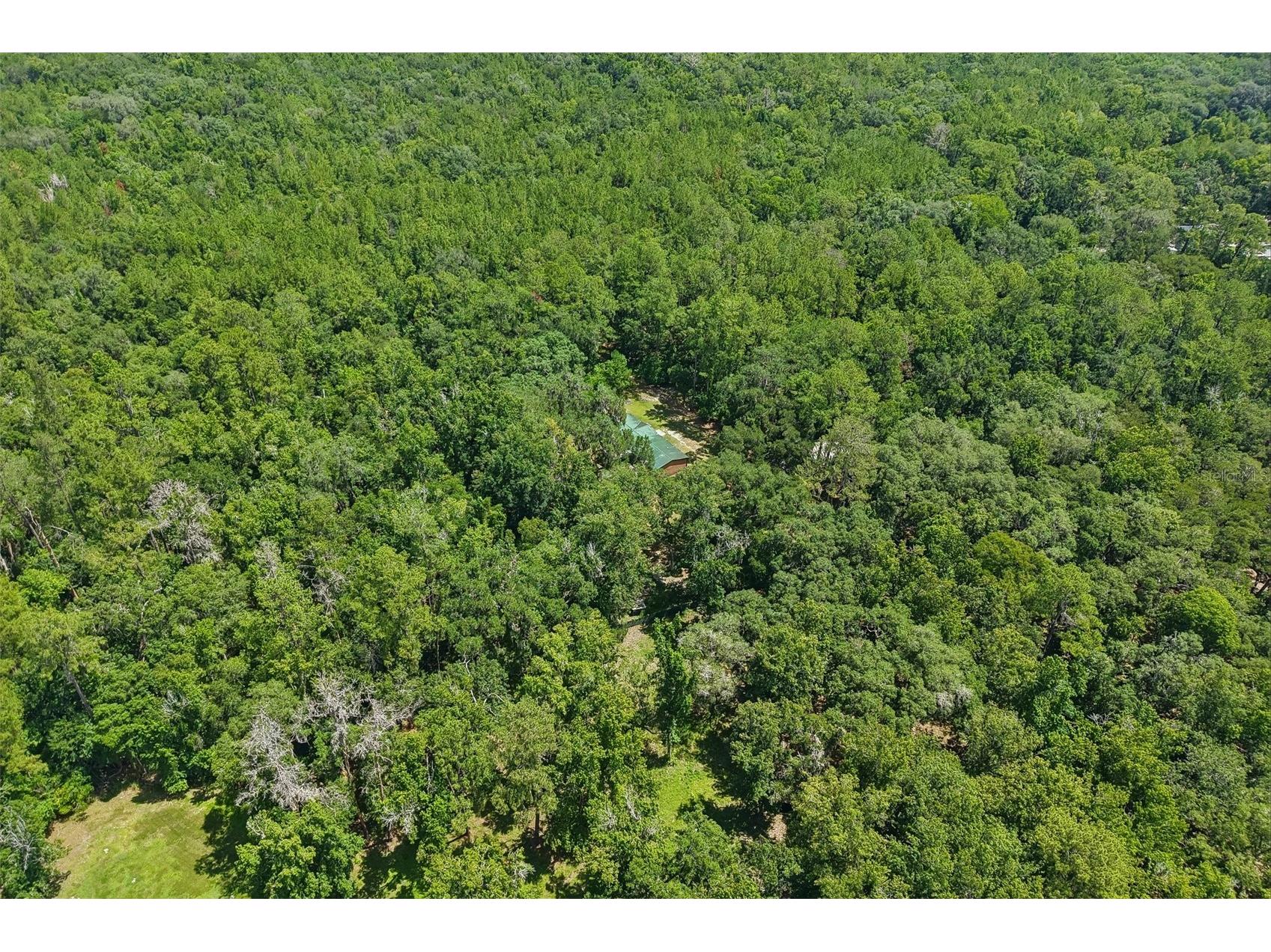 6221 Emerson Road Brooksville FL 34601 TB8520992 image39