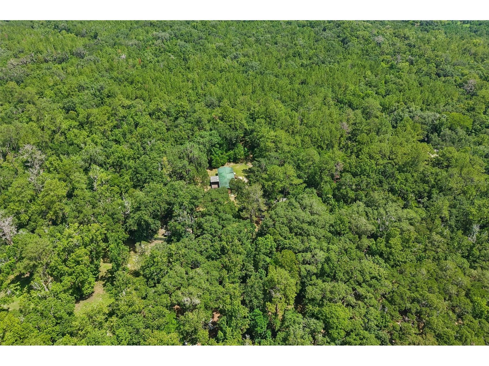 6221 Emerson Road Brooksville FL 34601 TB8520992 image40