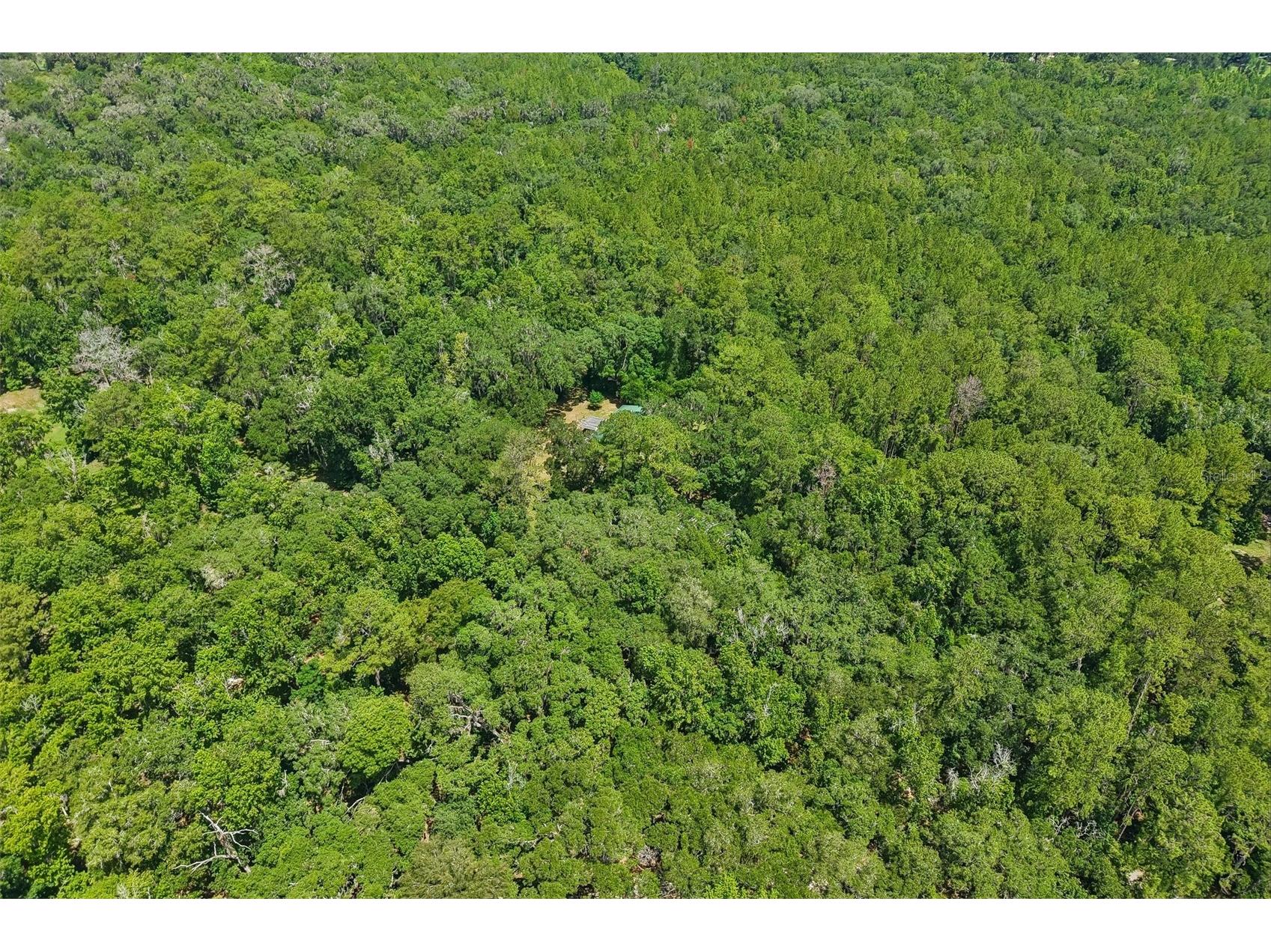 6221 Emerson Road Brooksville FL 34601 TB8520992 image41