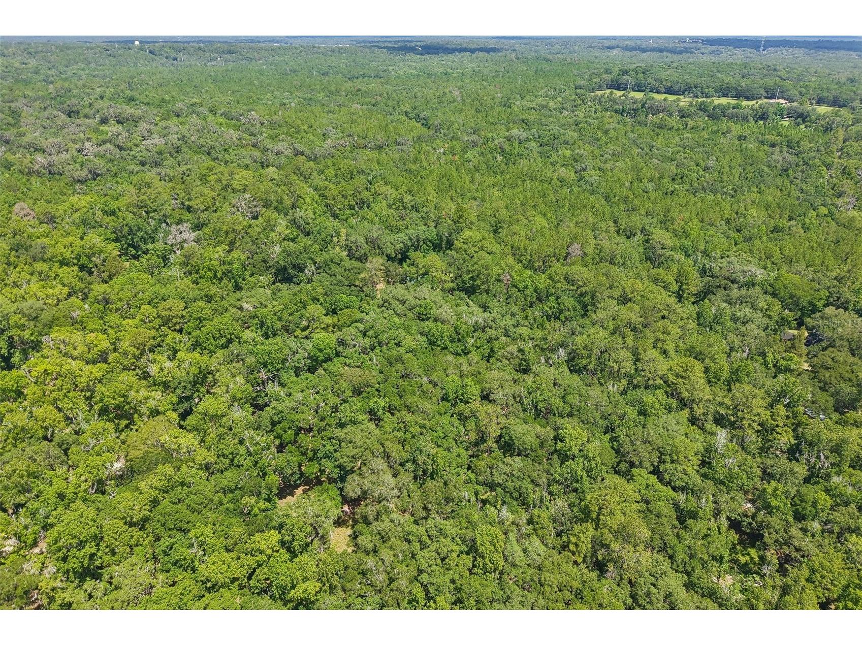 6221 Emerson Road Brooksville FL 34601 TB8520992 image42
