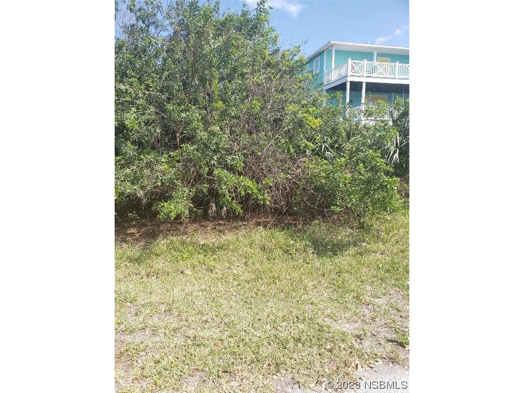 6221 Engram Road New Smyrna Beach FL 32169 NS1073799 image1