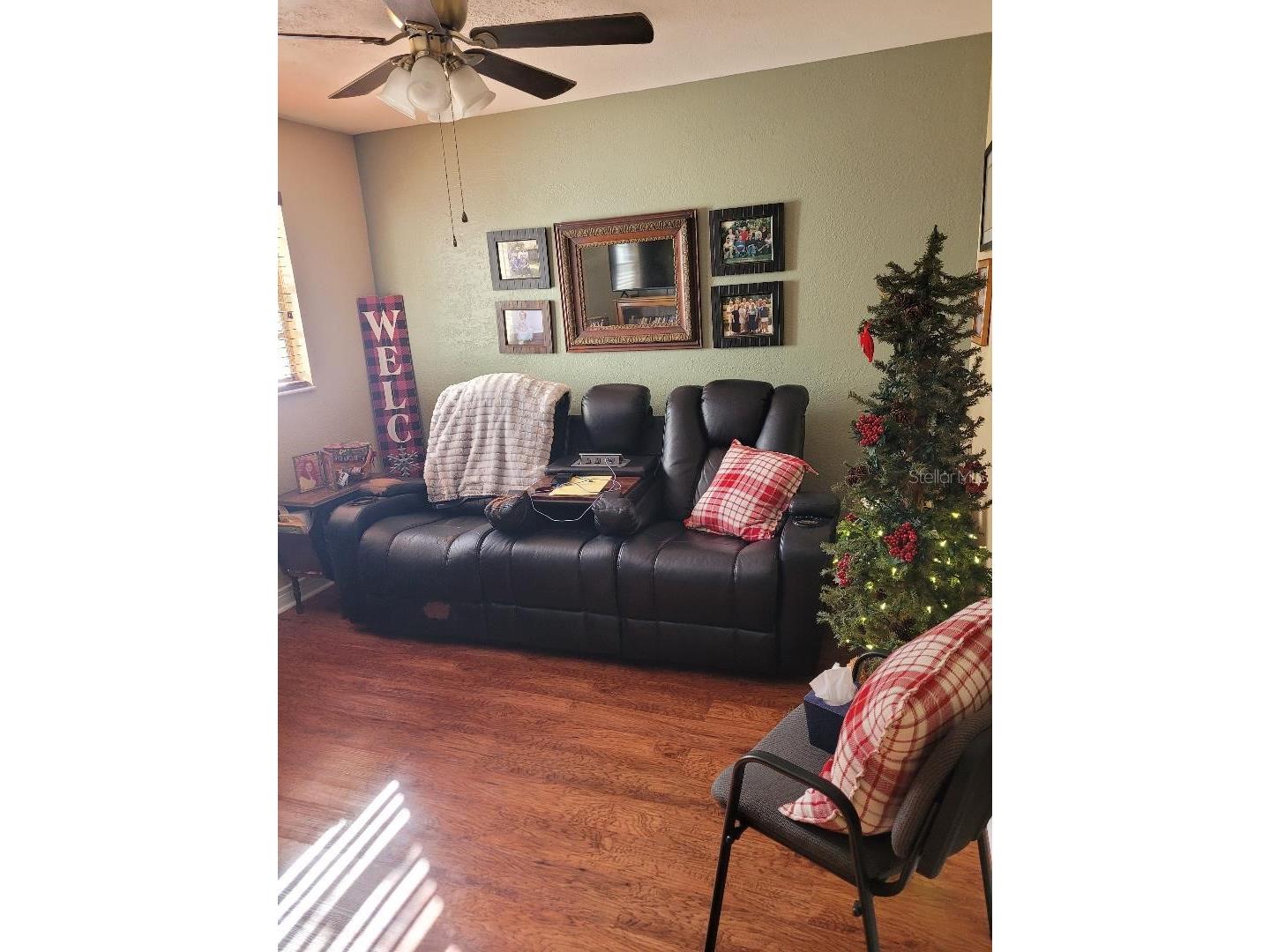6221 Lullabye Lane Zephyrhills FL 33541 TB8471149 image13