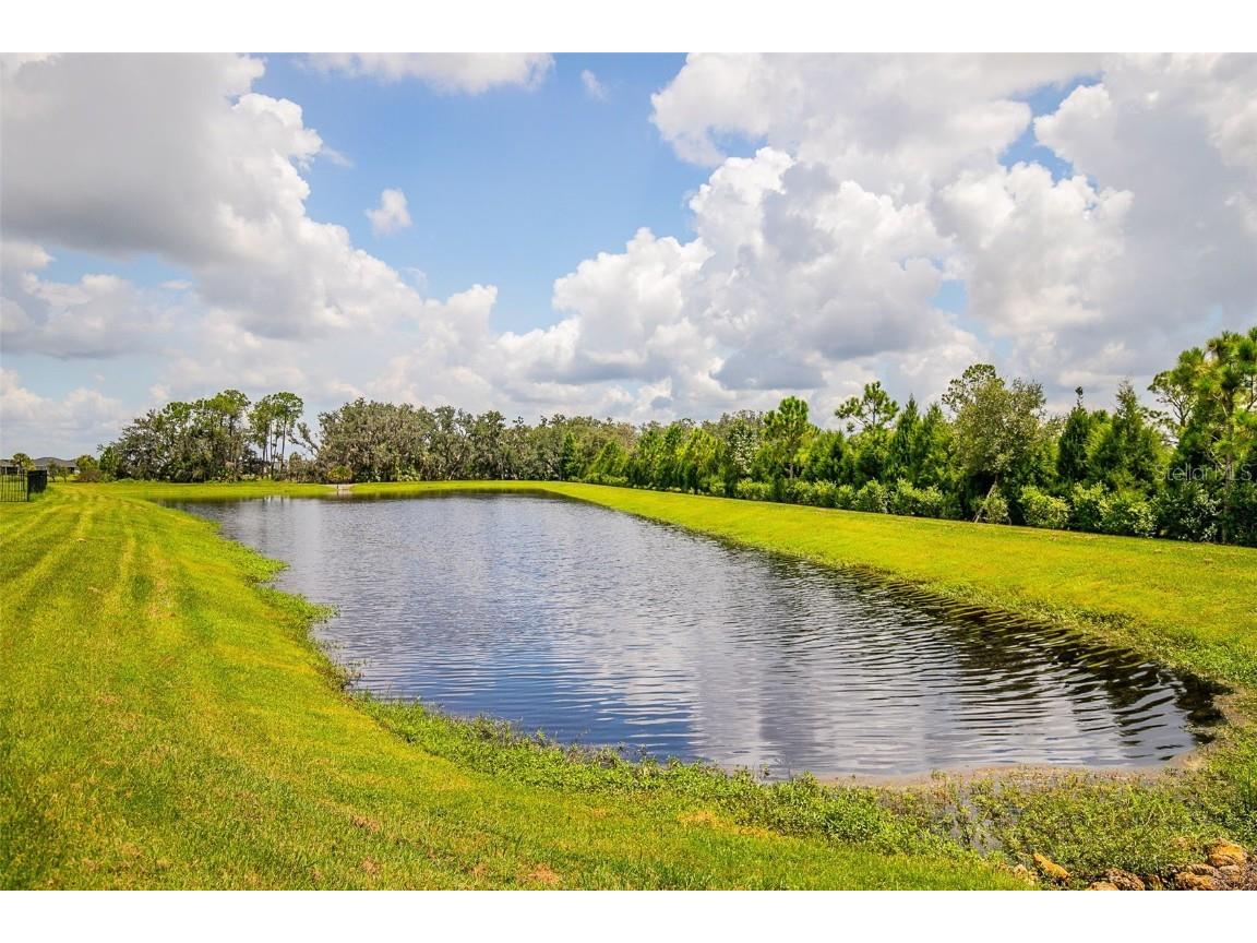 6222 165th Drive E Parrish FL 34219 - POND TB8419567 image34