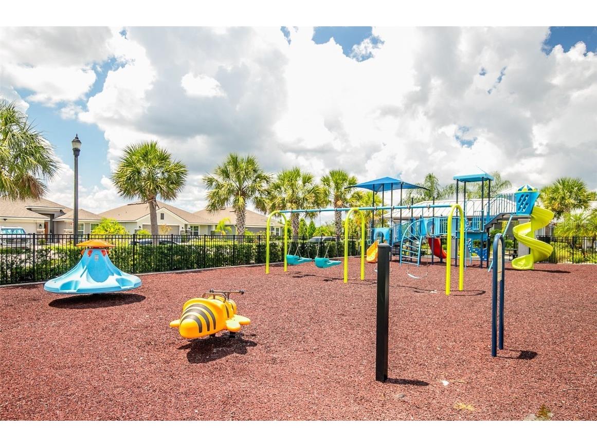 6222 165th Drive E Parrish FL 34219 - POND TB8419567 image42