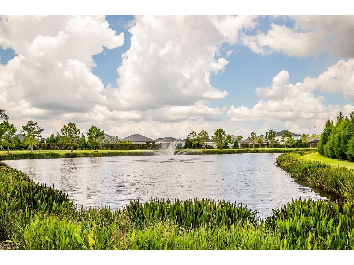6222 165th Drive E Parrish FL 34219 - POND TB8419567 image45
