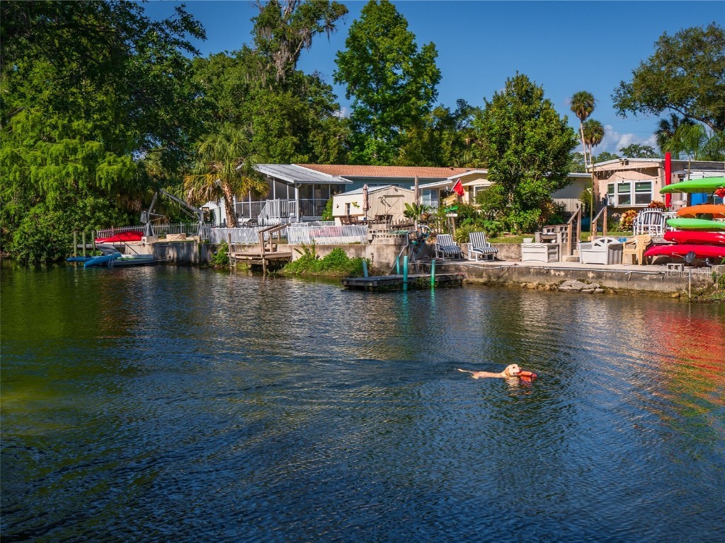 6222 Bear Trail Run Weeki Wachee FL 34607 T3515688 image6